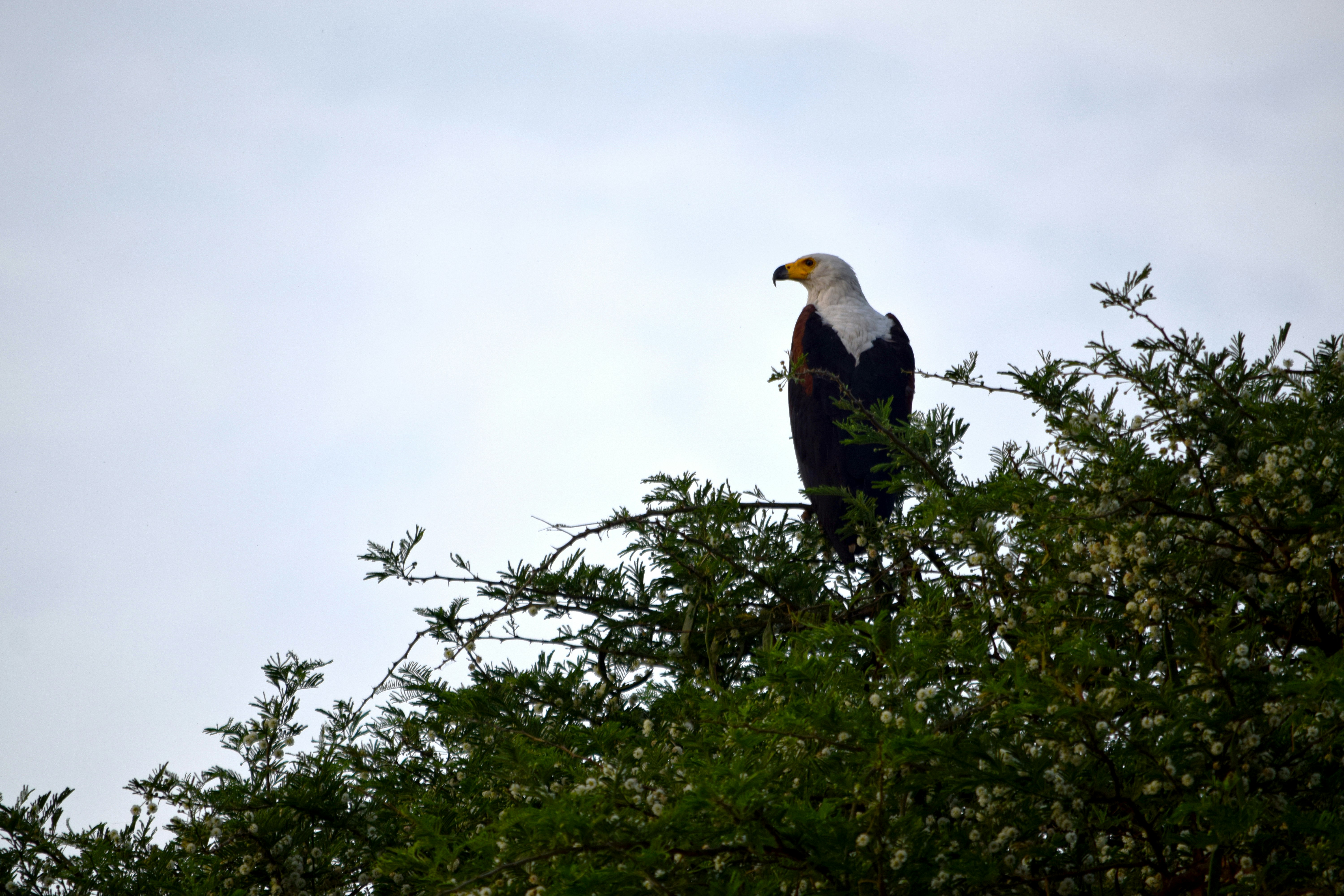 Photo by mocream_coffee