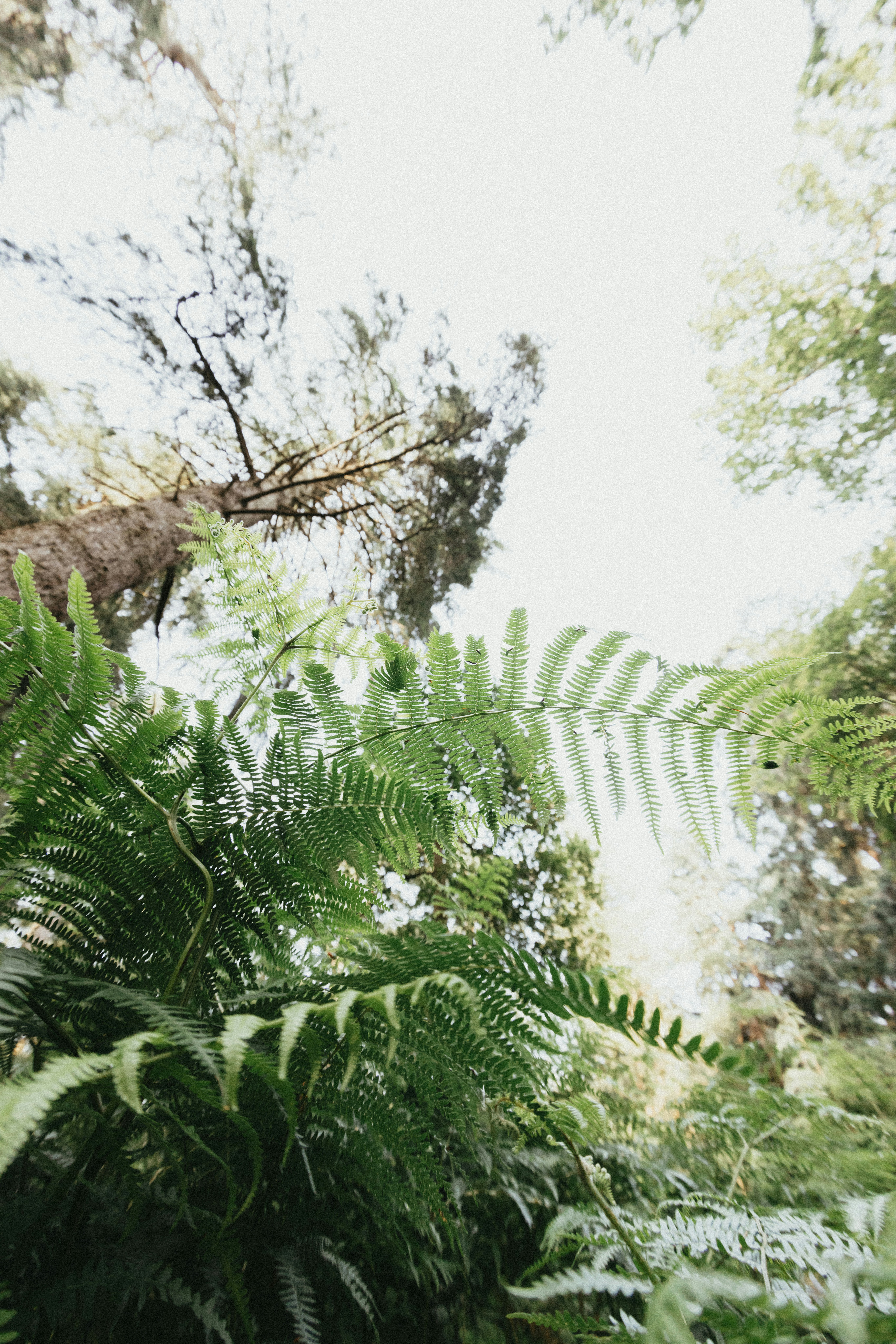 Photo by anniespratt