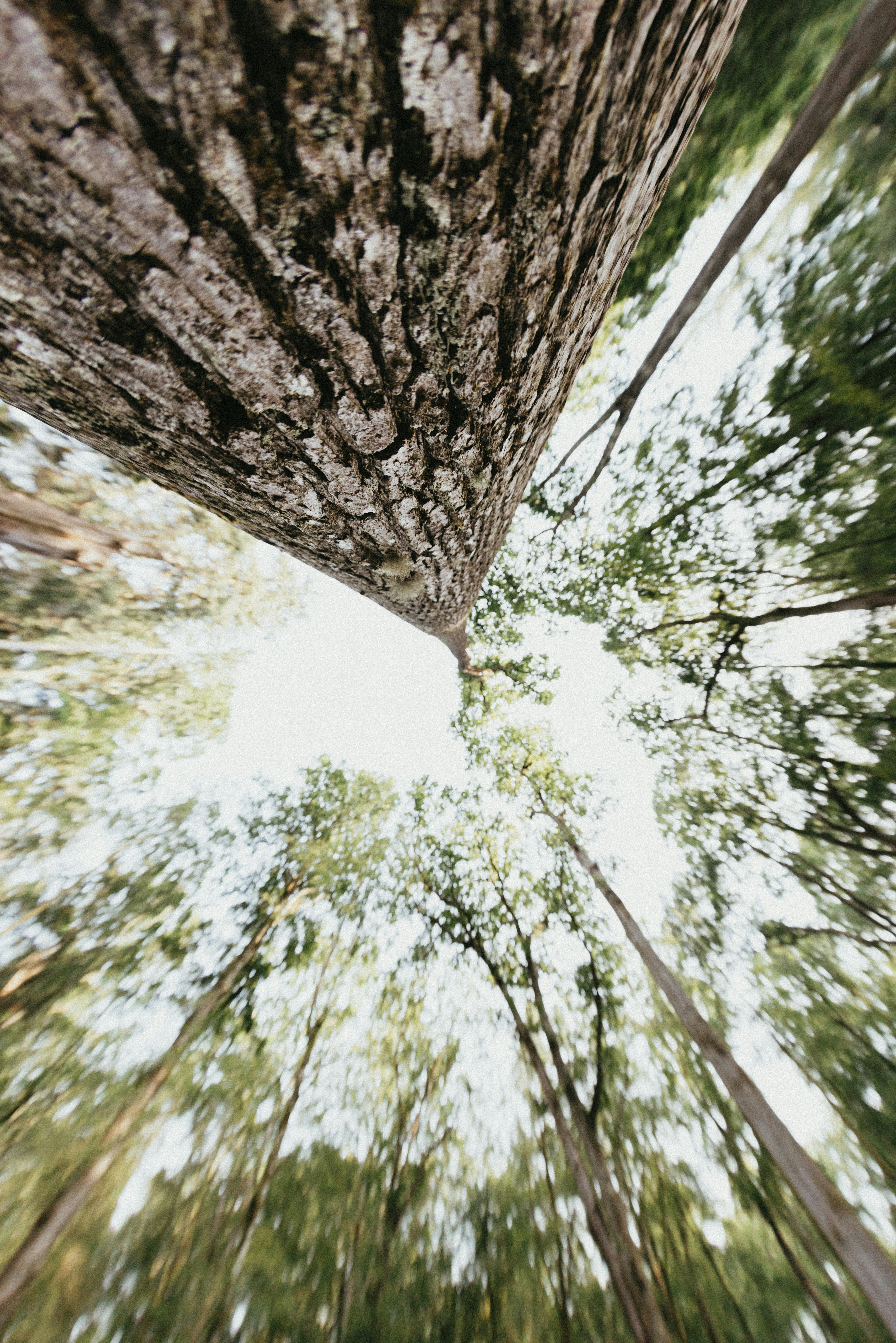 Photo by anniespratt