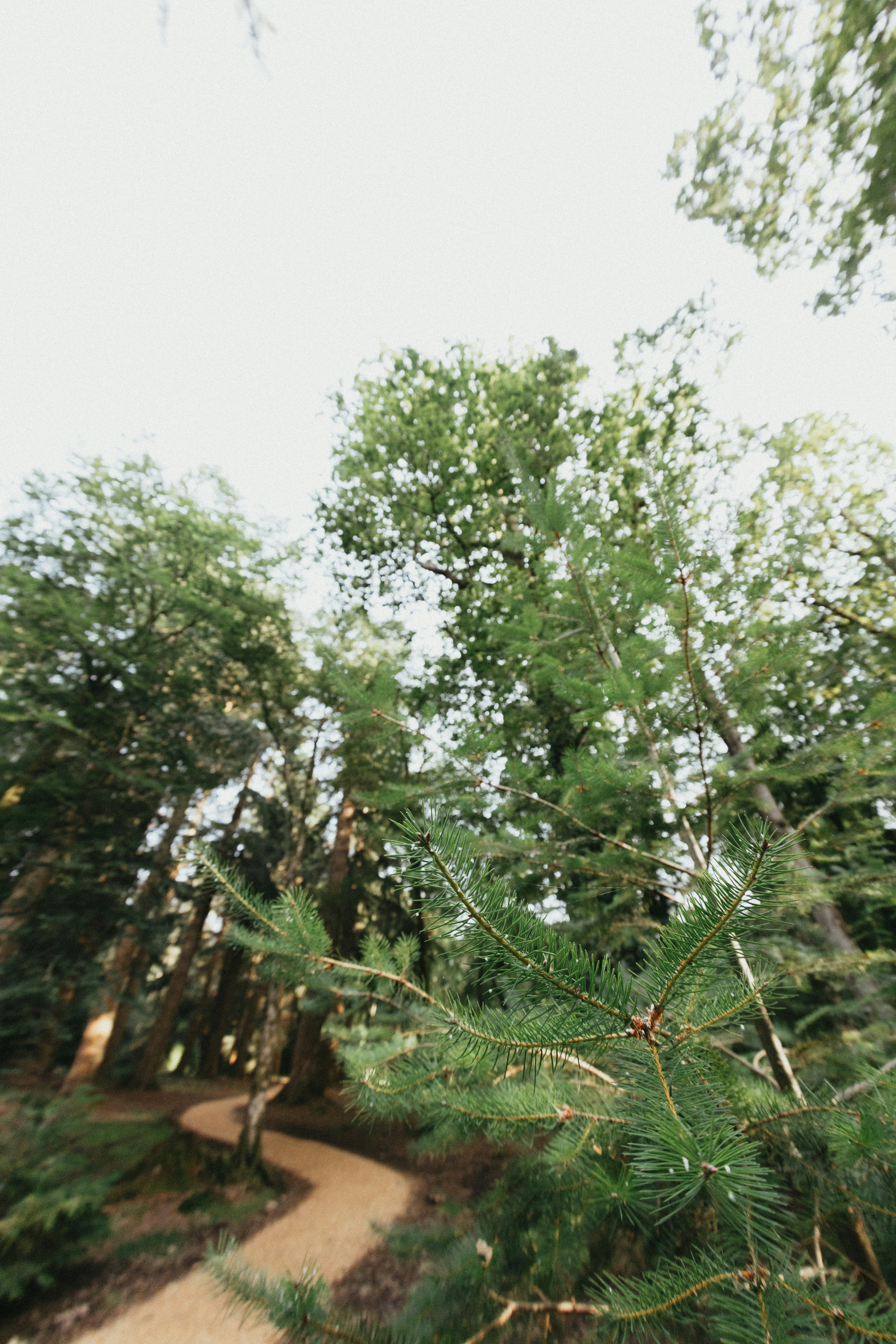 Photo by anniespratt