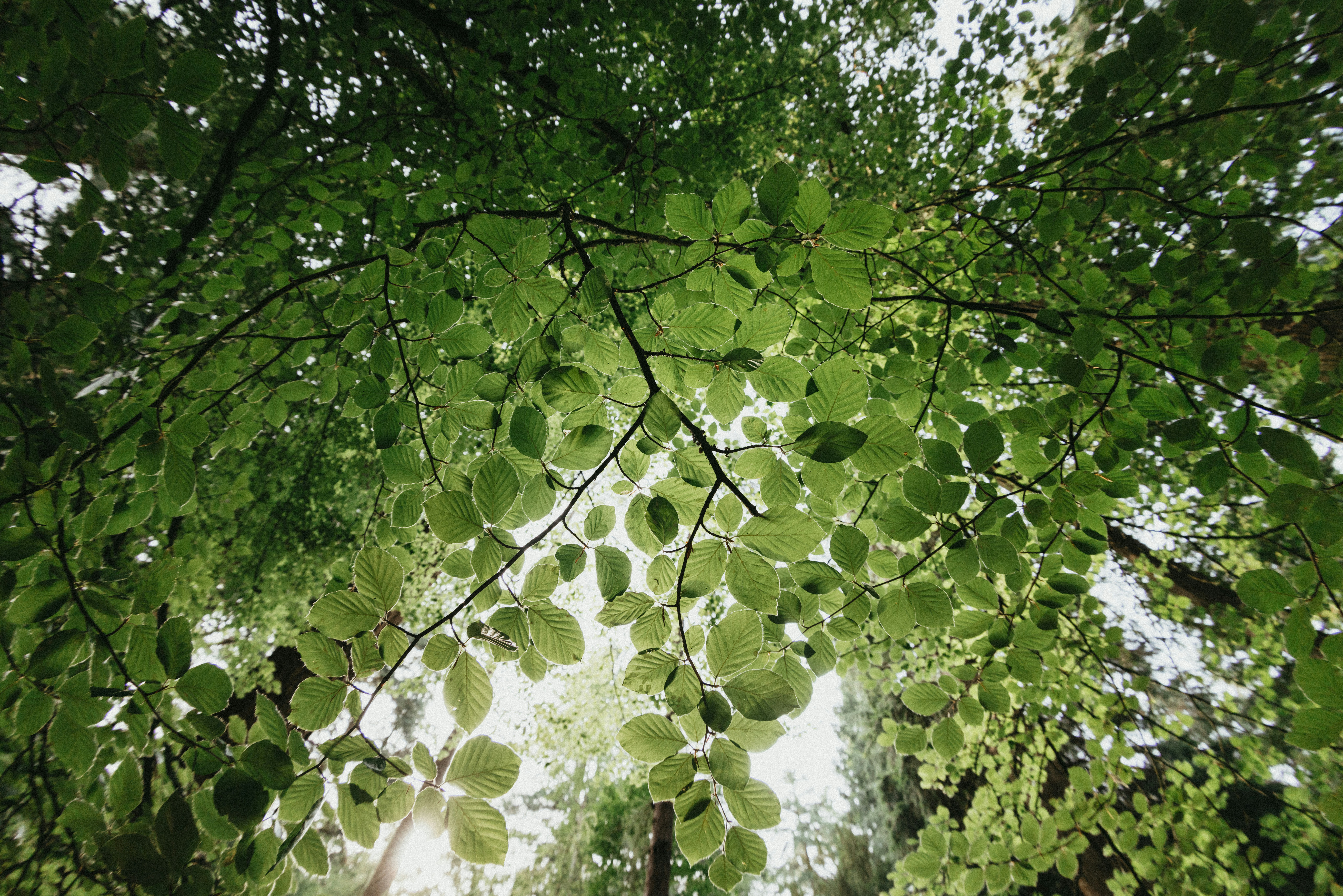 Photo by anniespratt