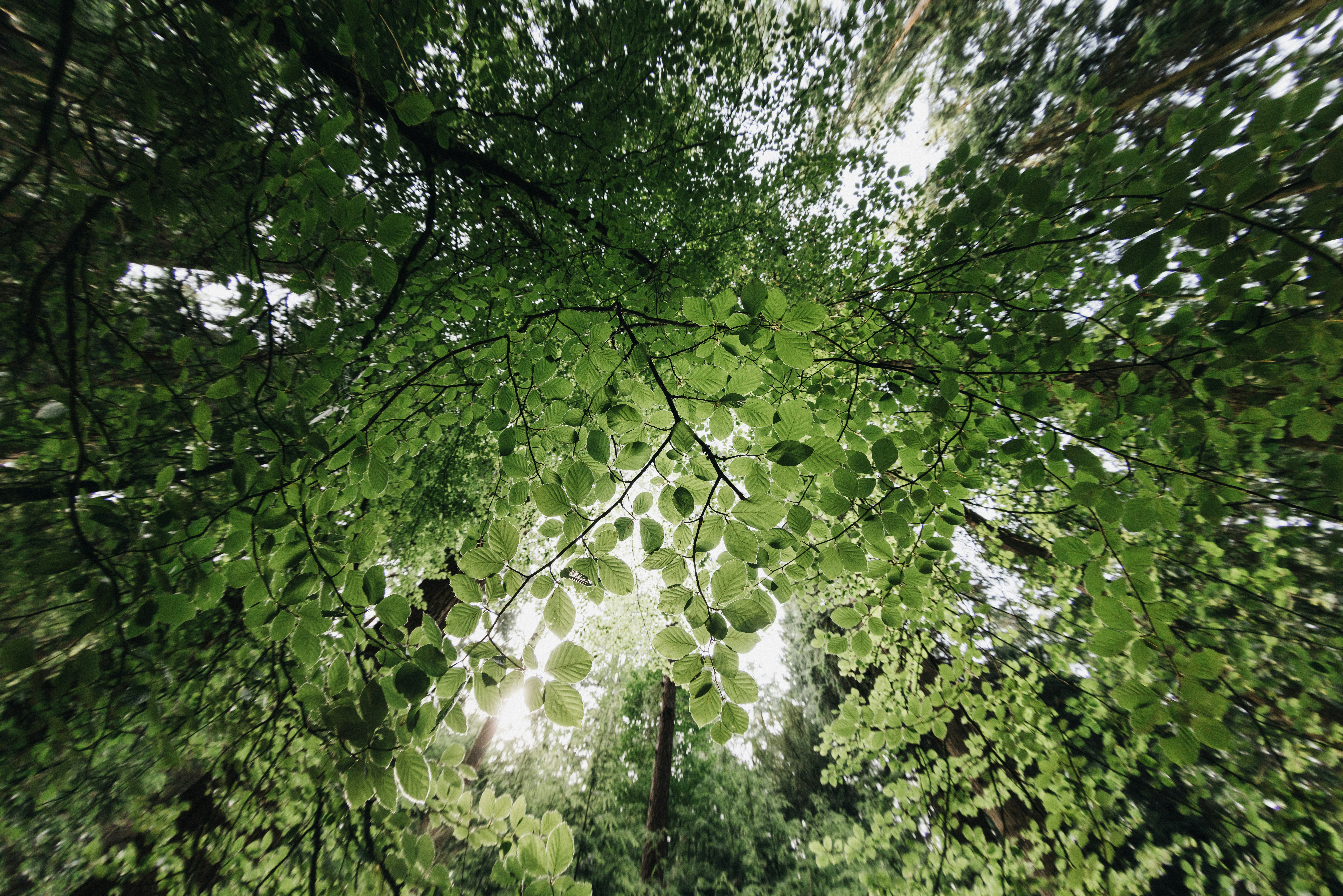 Photo by anniespratt