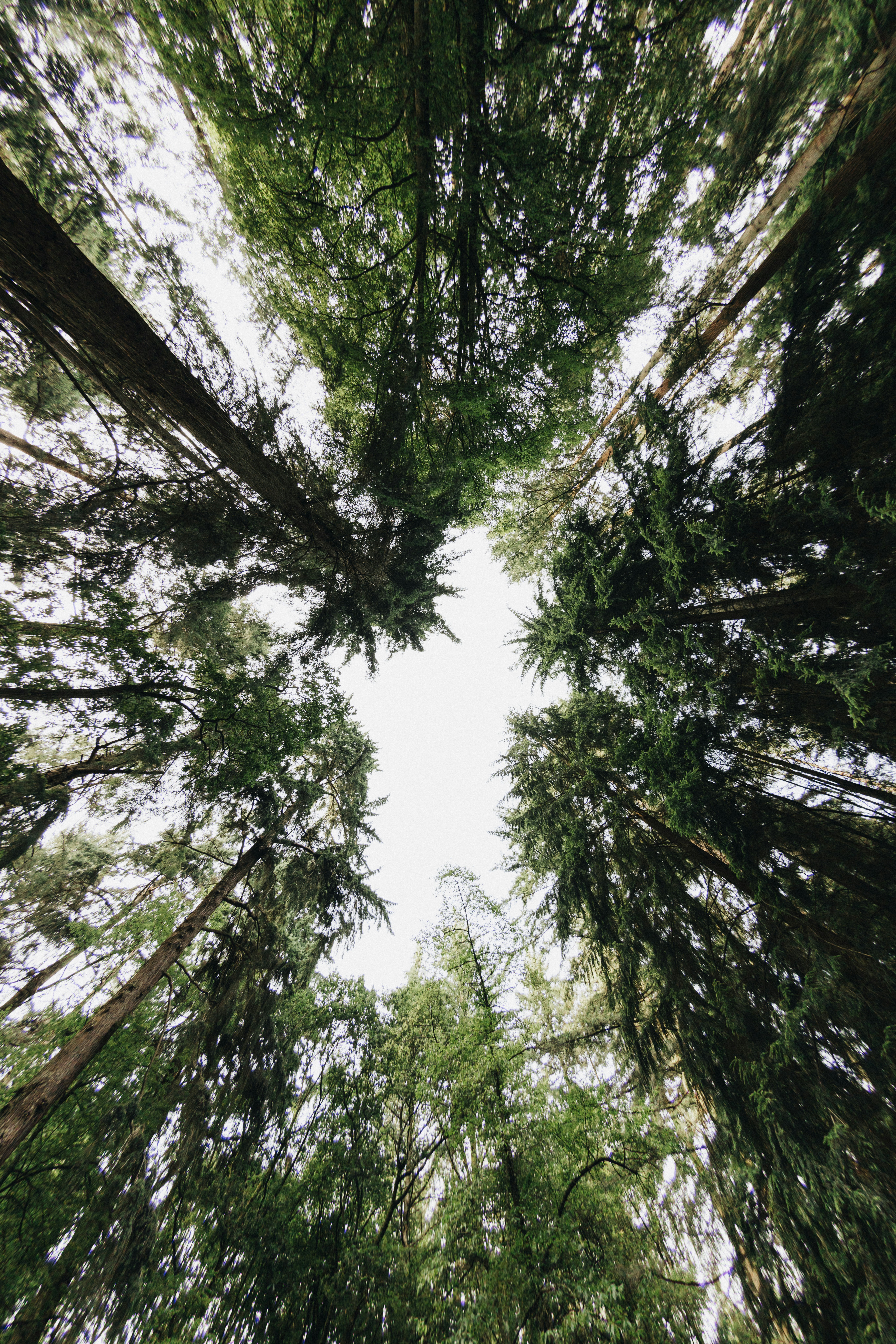 Photo by anniespratt