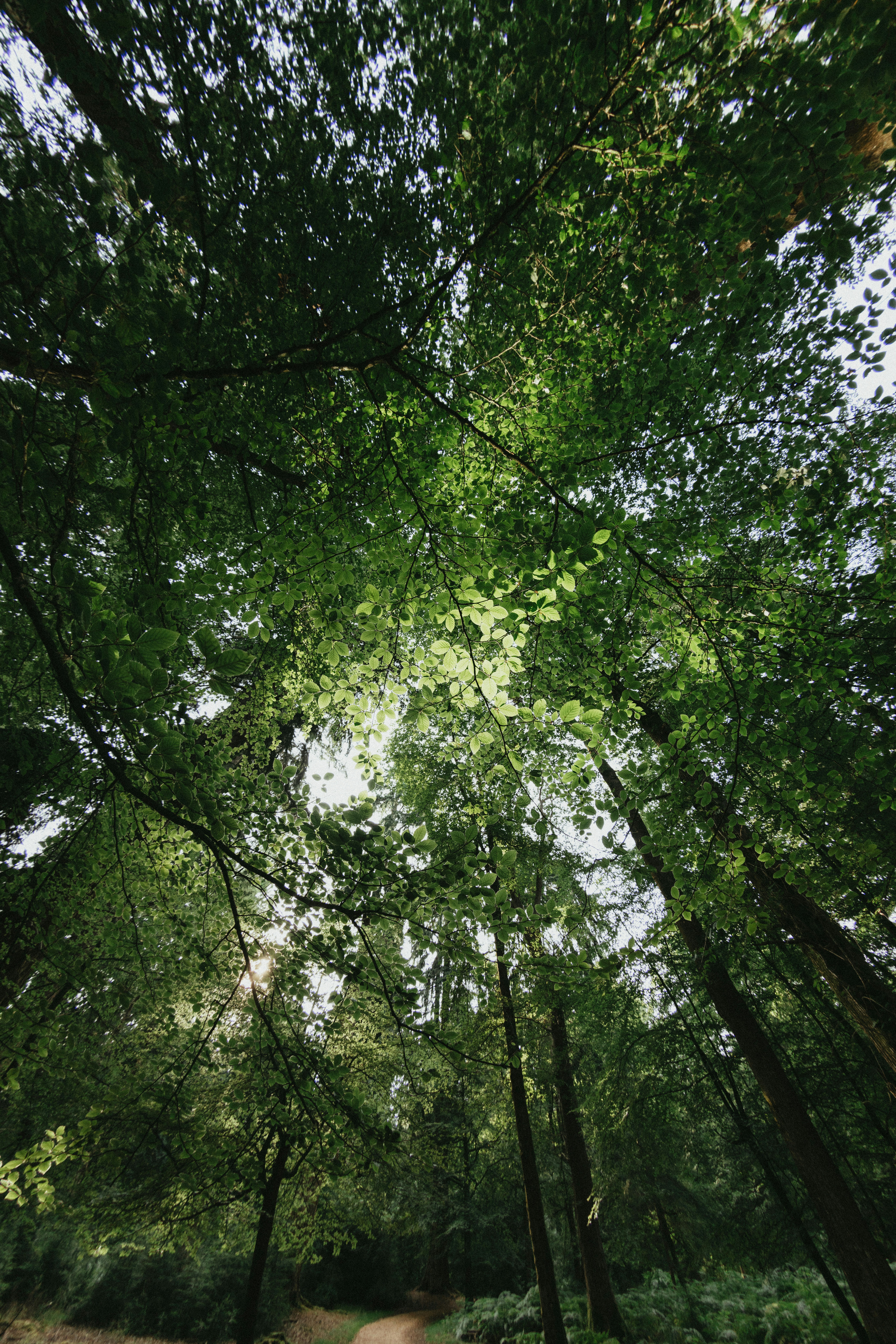 Photo by anniespratt