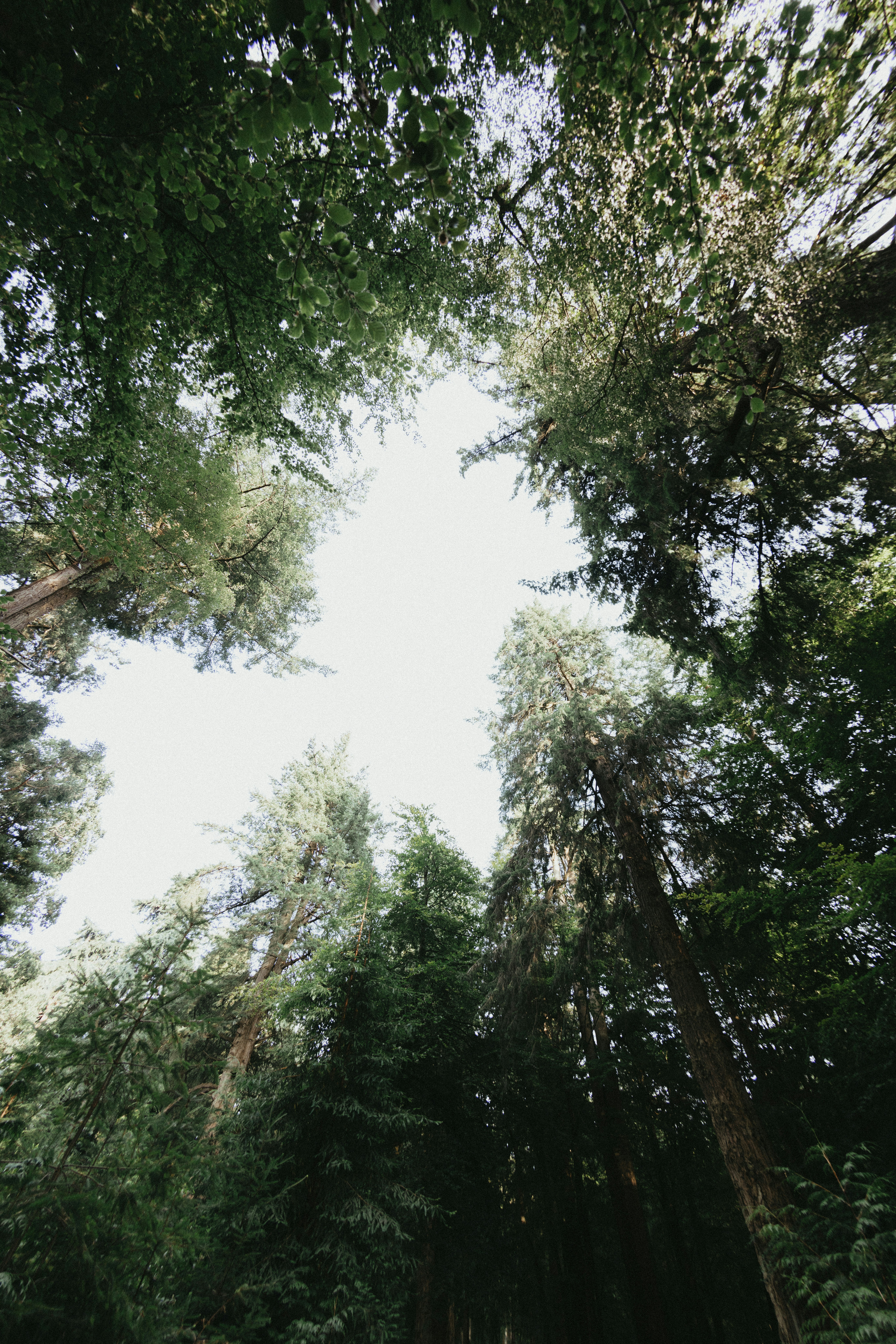 Photo by anniespratt