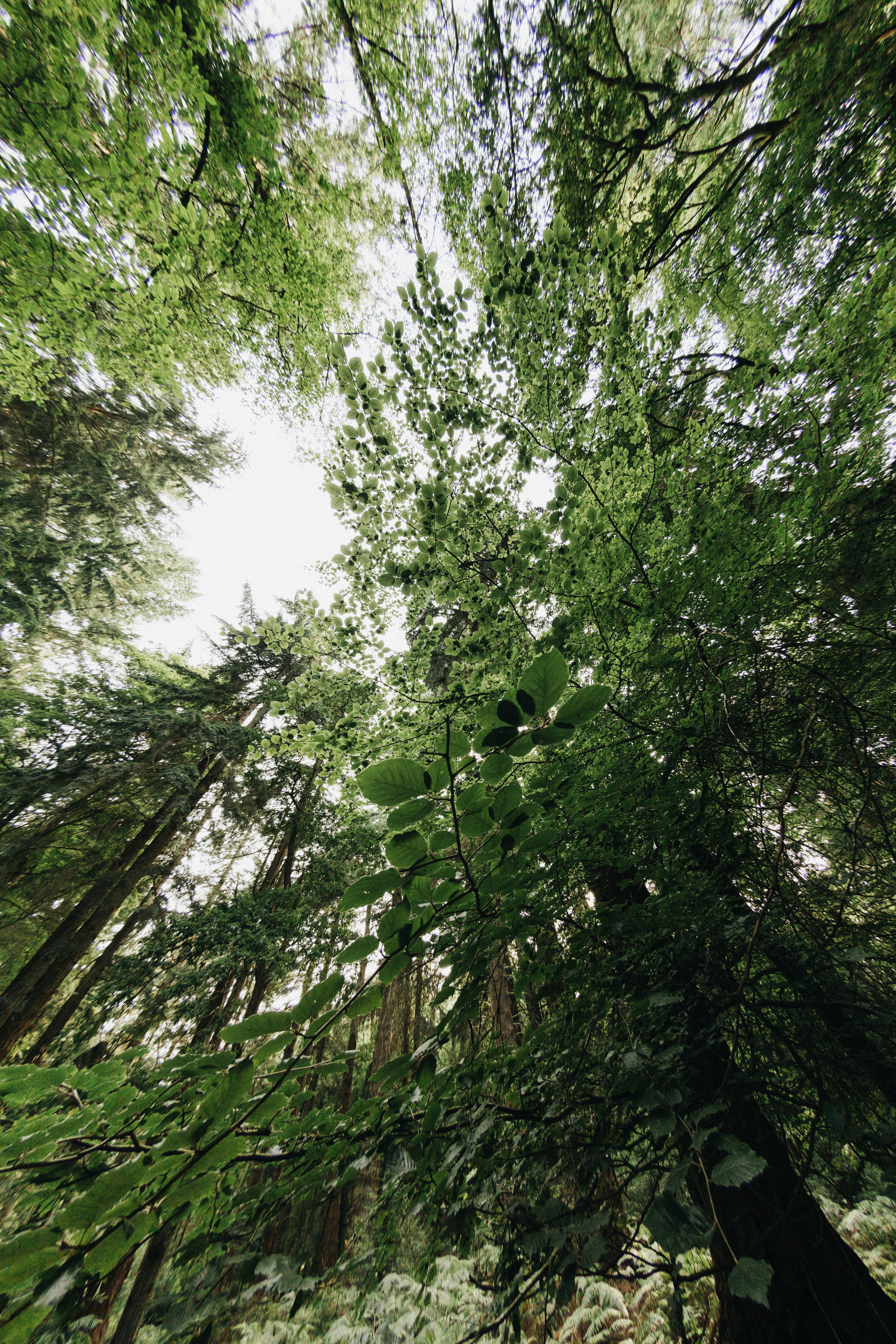 Photo by anniespratt