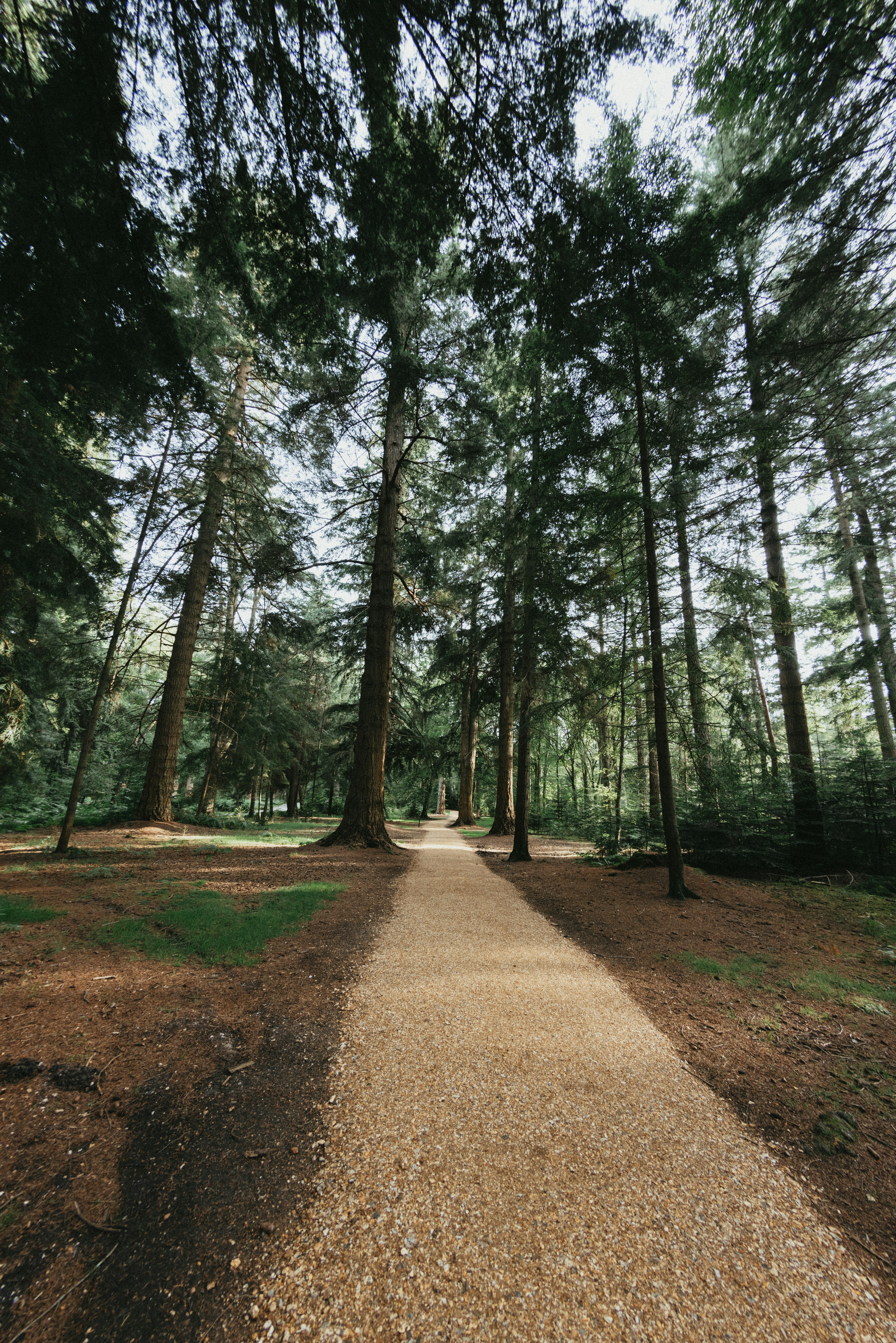 Photo by anniespratt