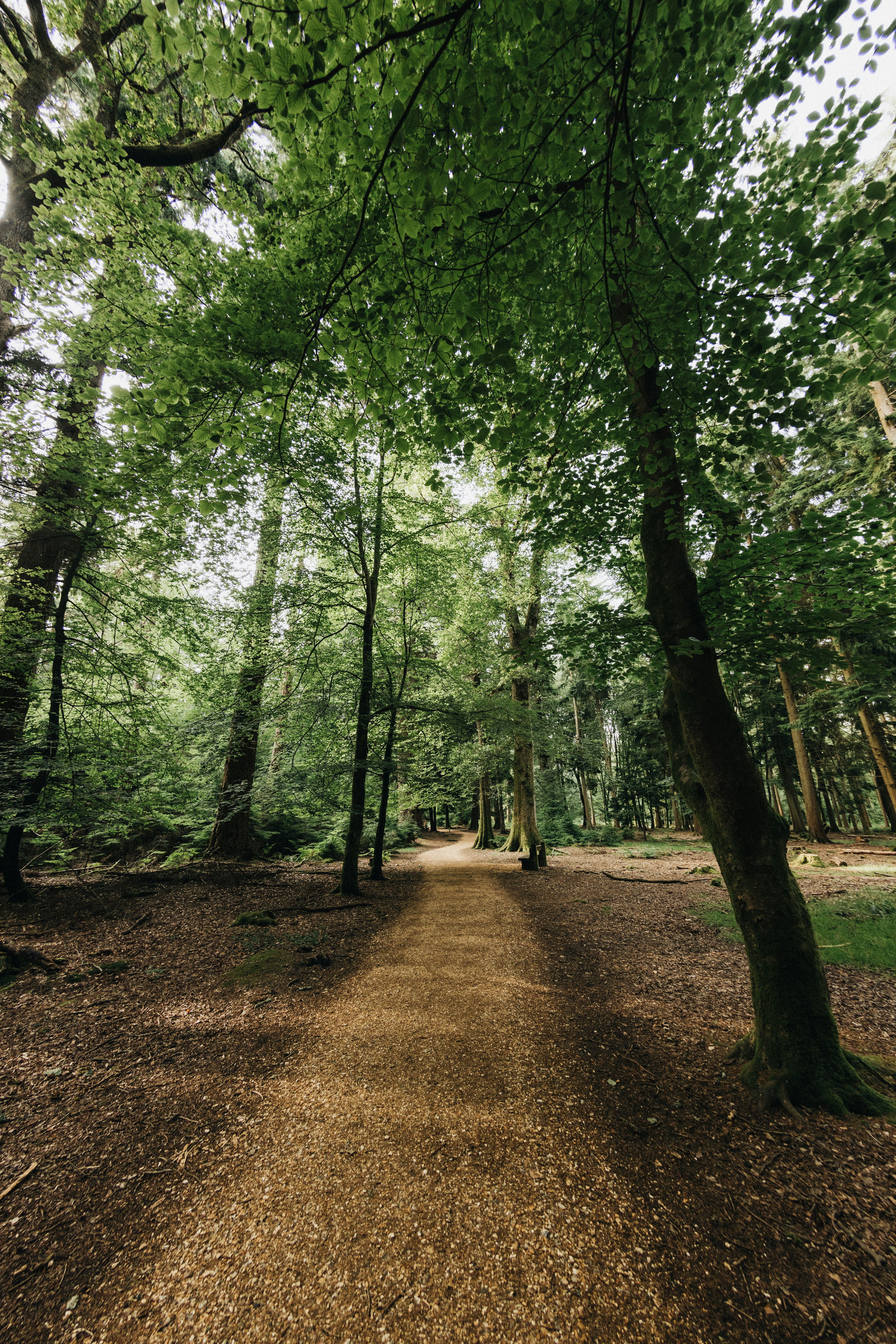 Photo by anniespratt