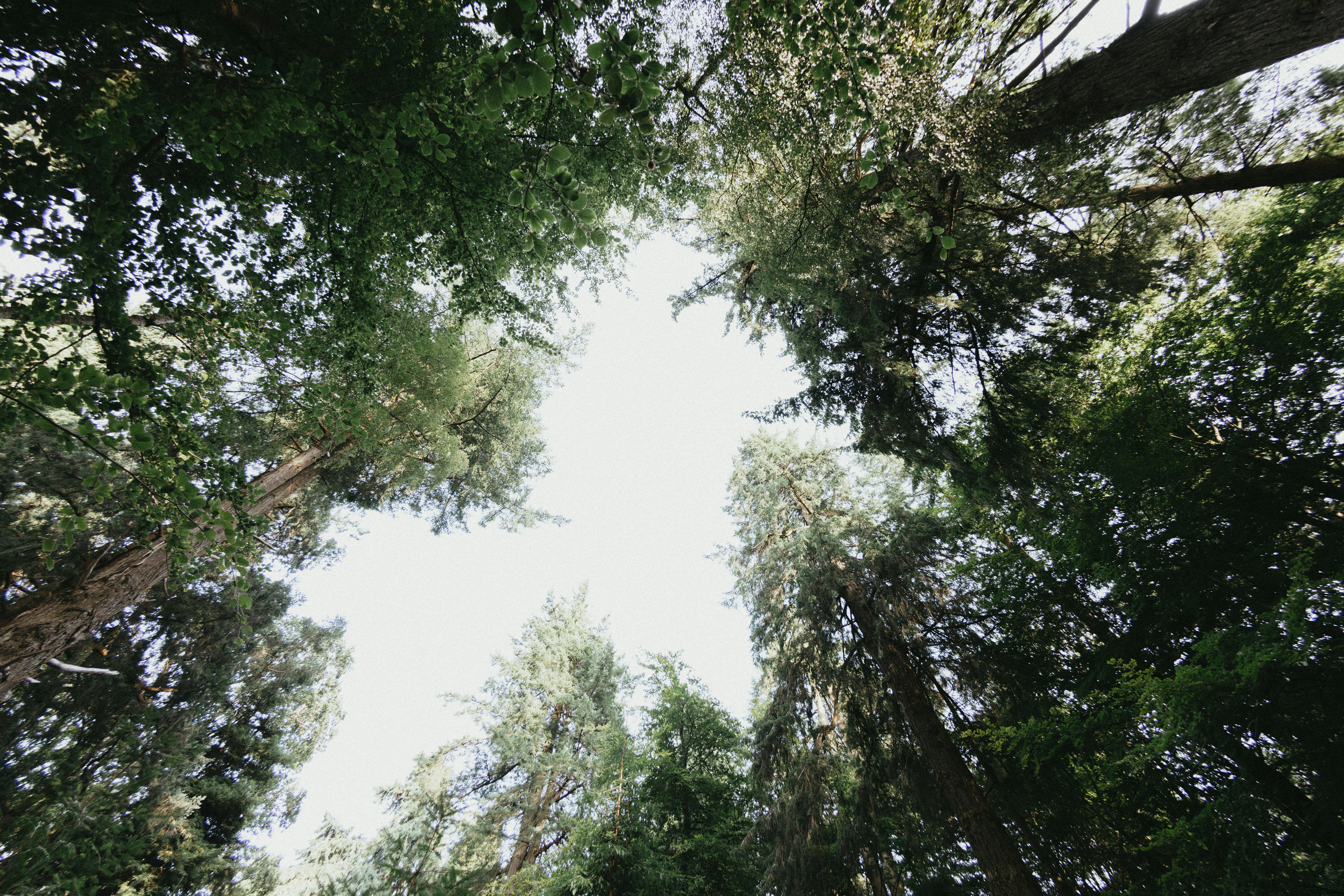 Photo by anniespratt