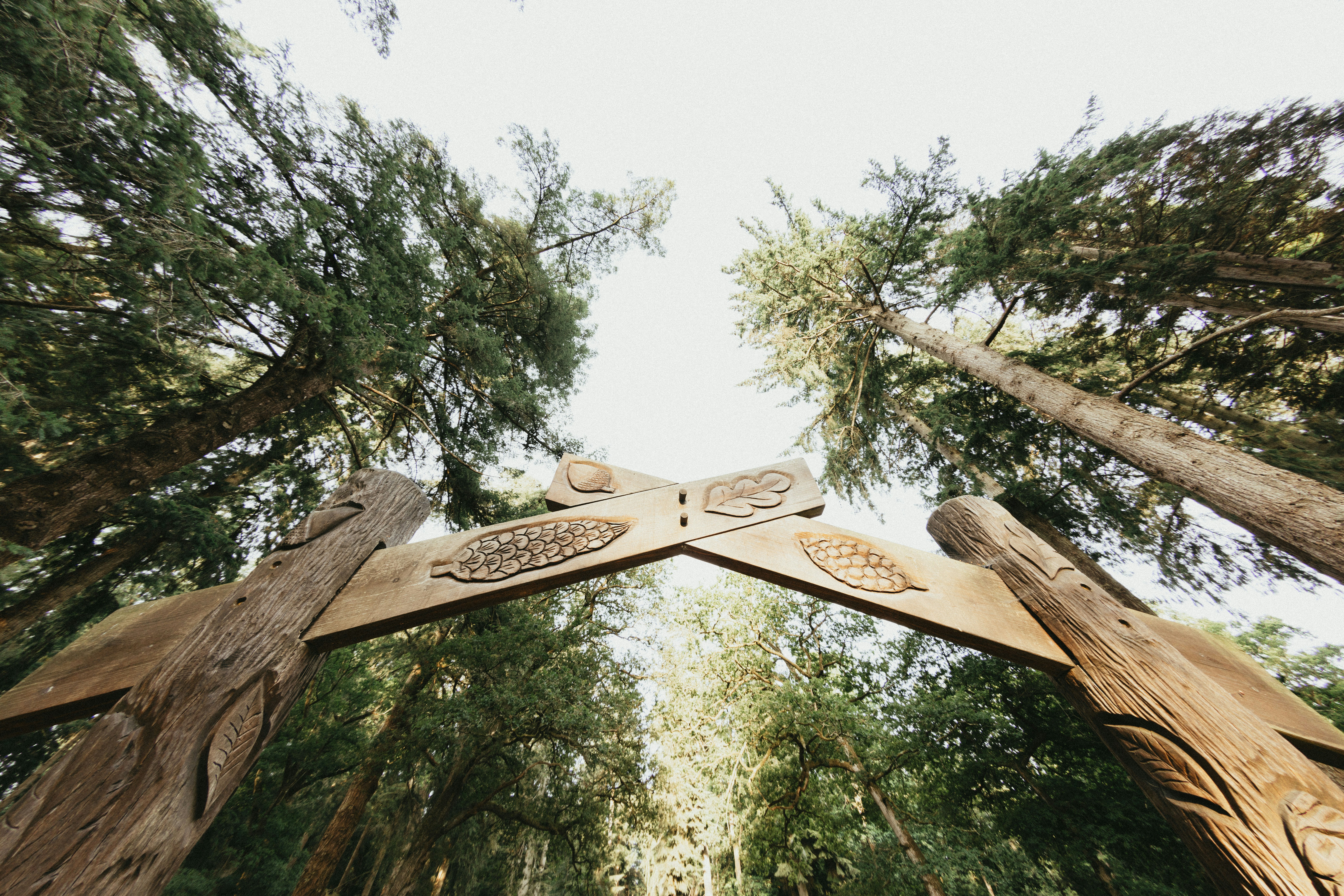 Un groupe de personnes marchant dans une forêt