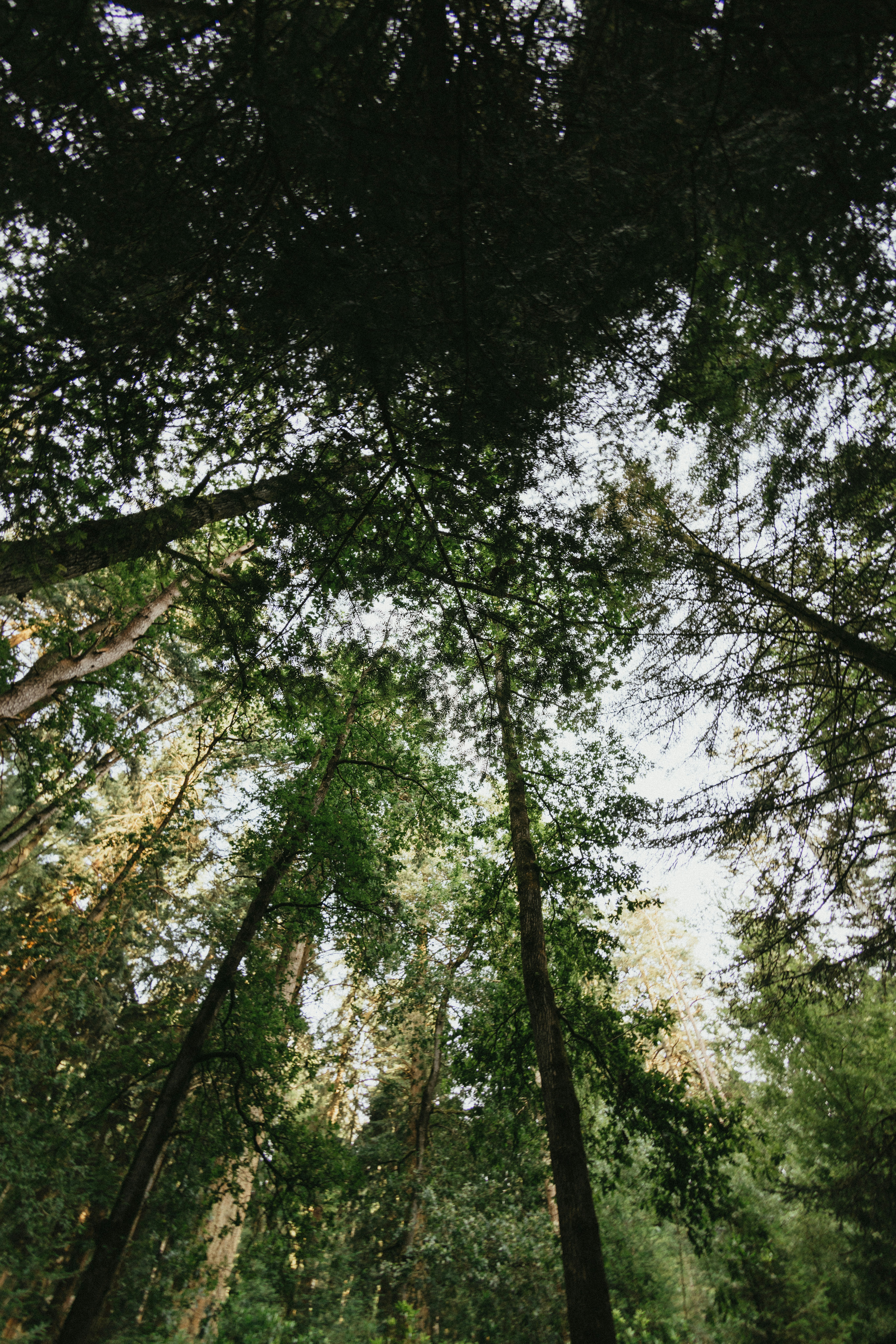 Photo by anniespratt