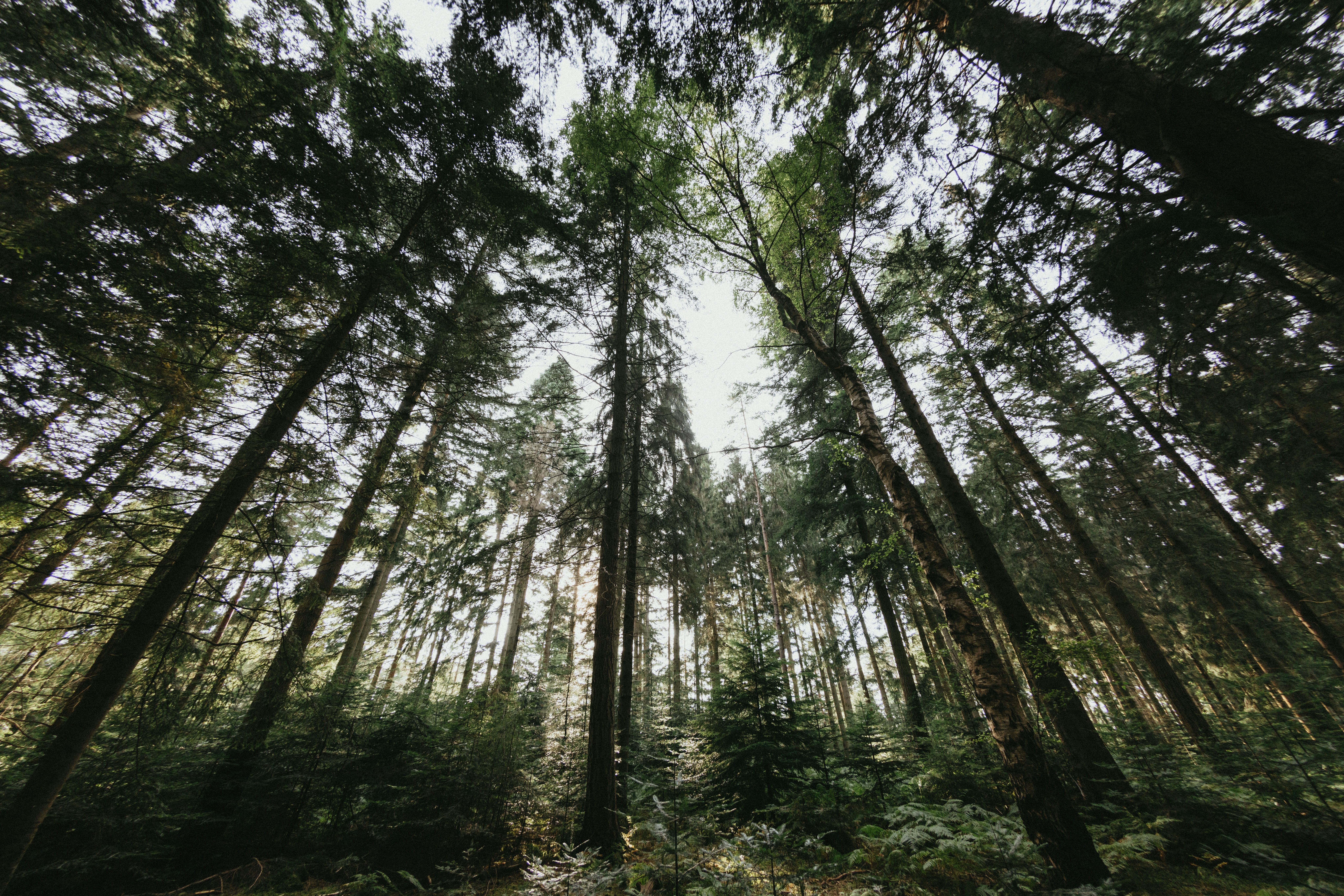 Photo by anniespratt