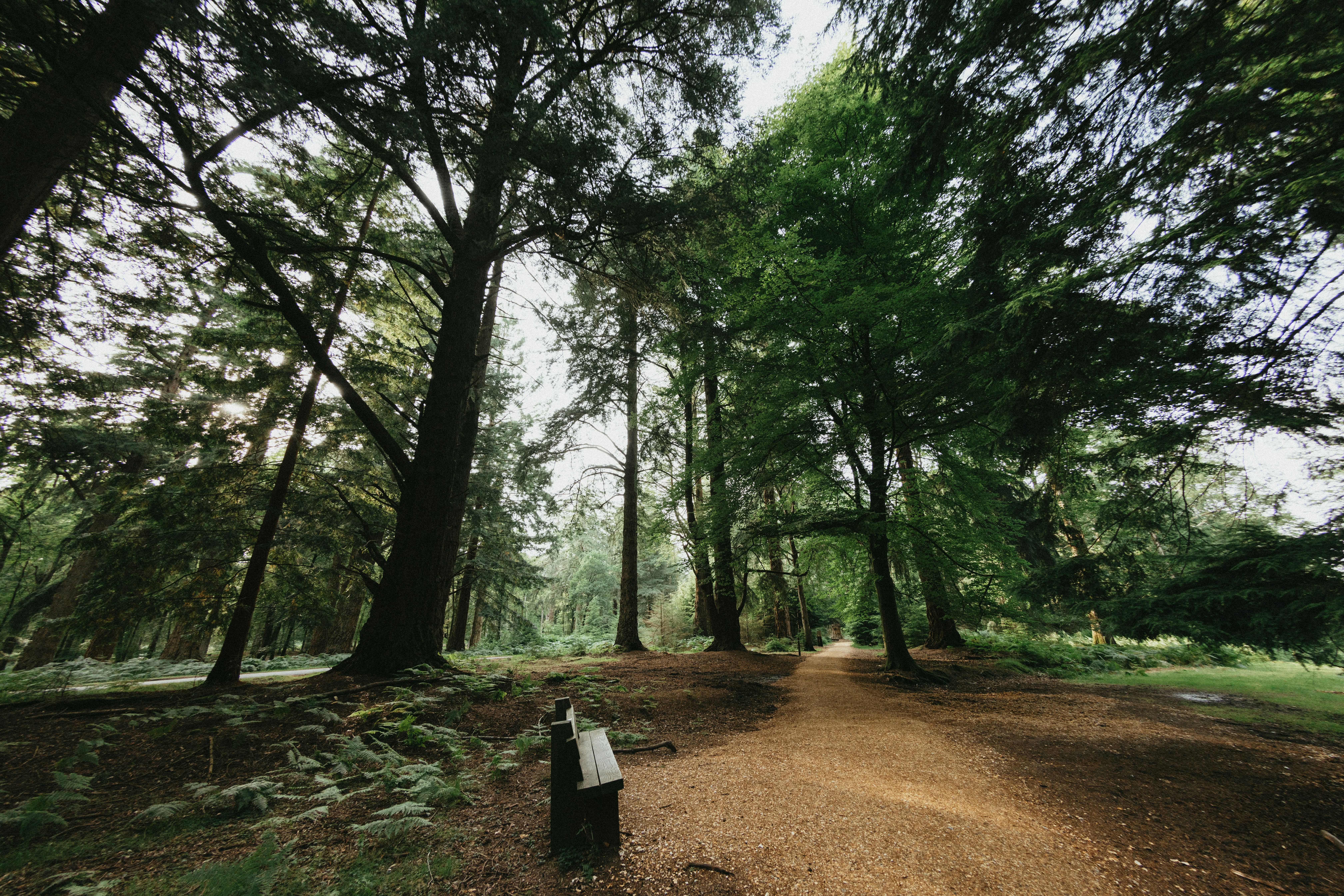 Photo by anniespratt