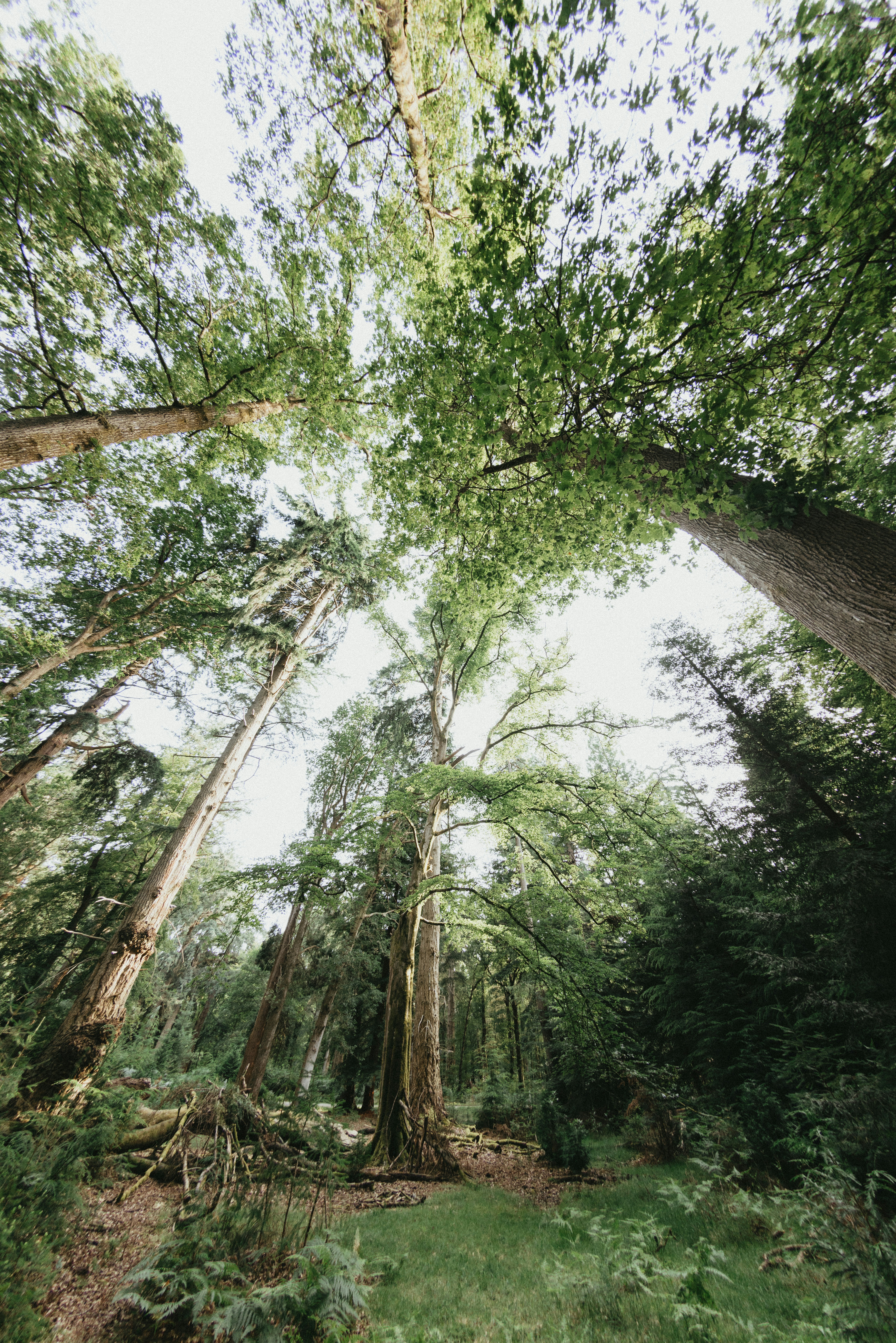 Photo by anniespratt