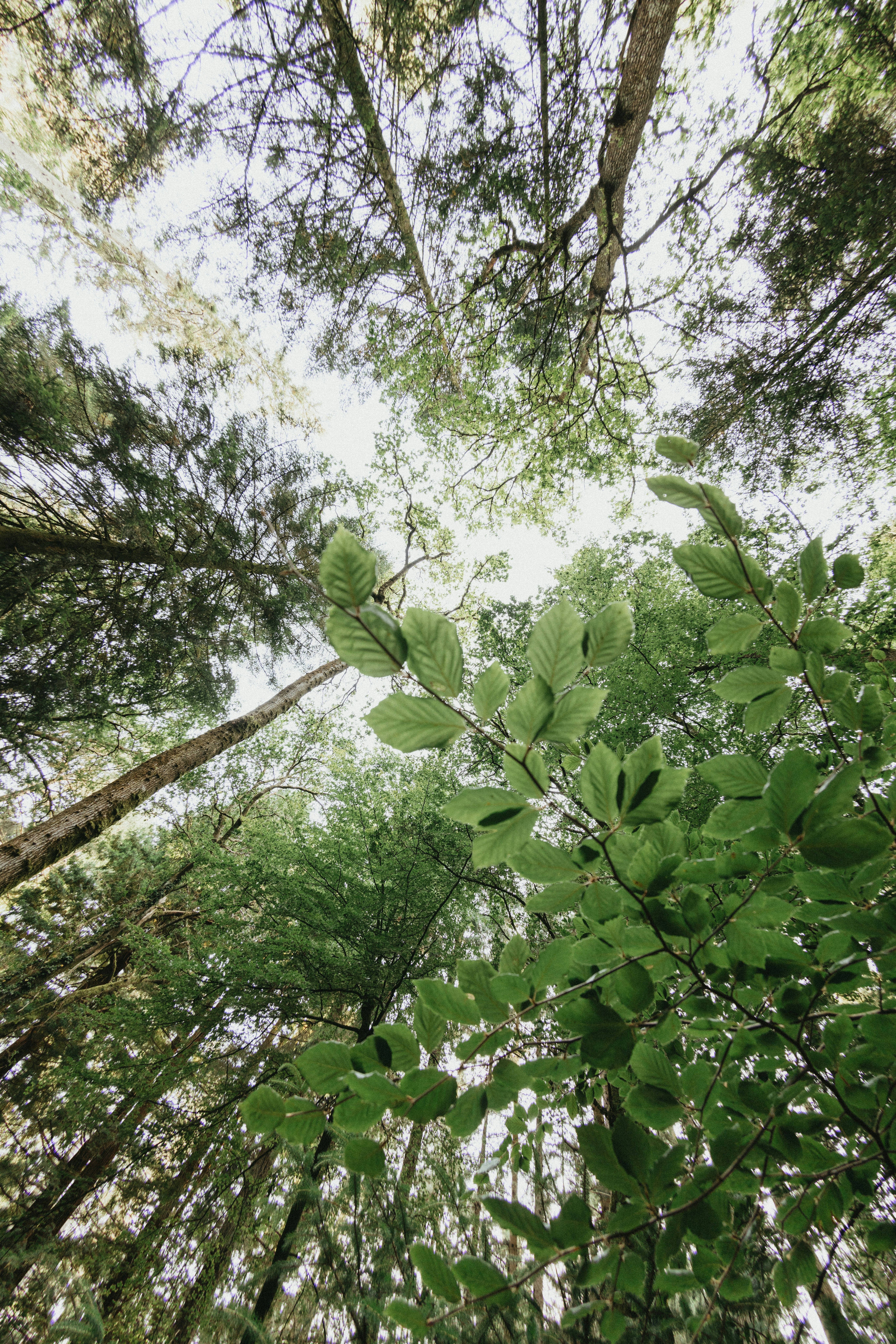 Photo by anniespratt