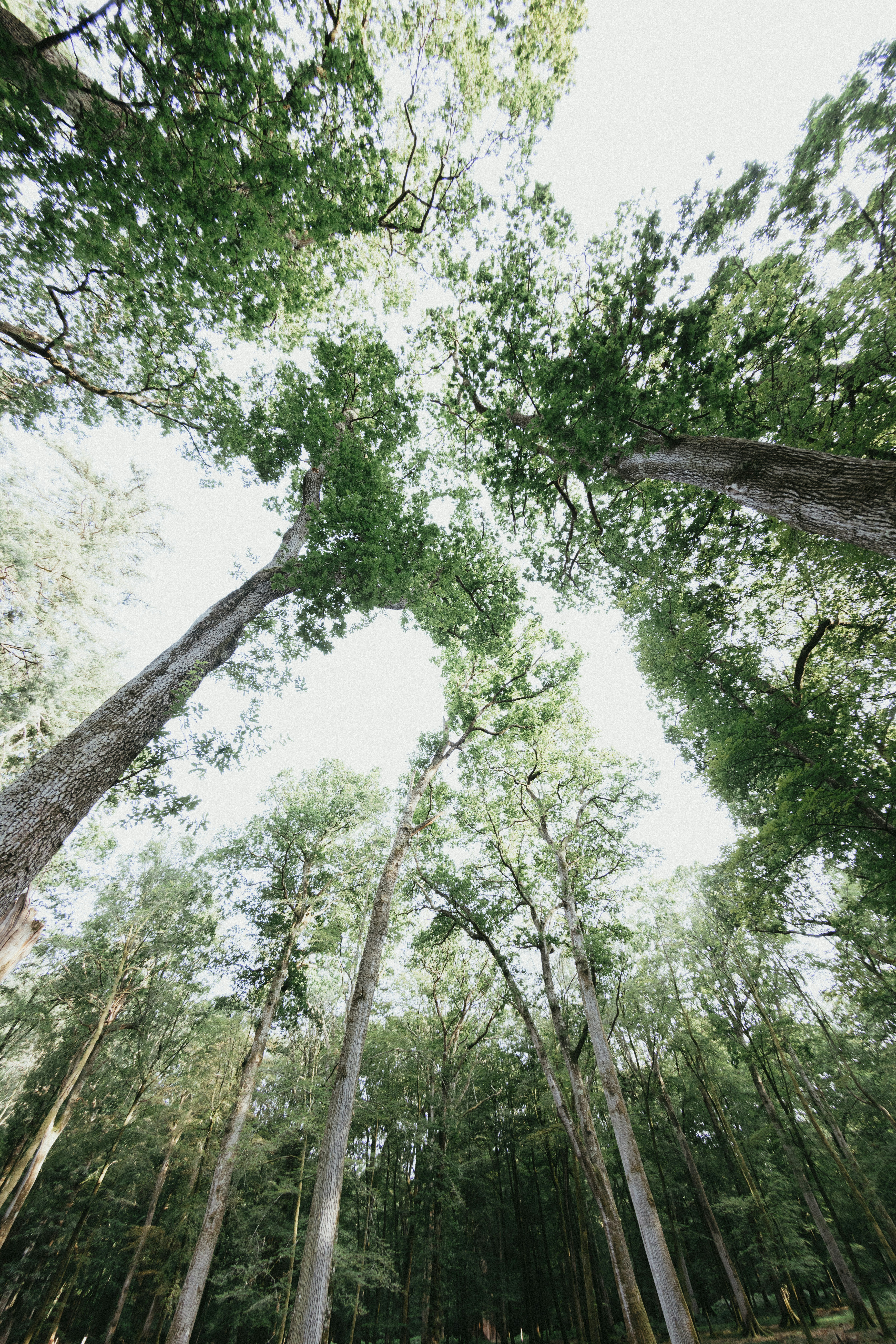 Photo by anniespratt