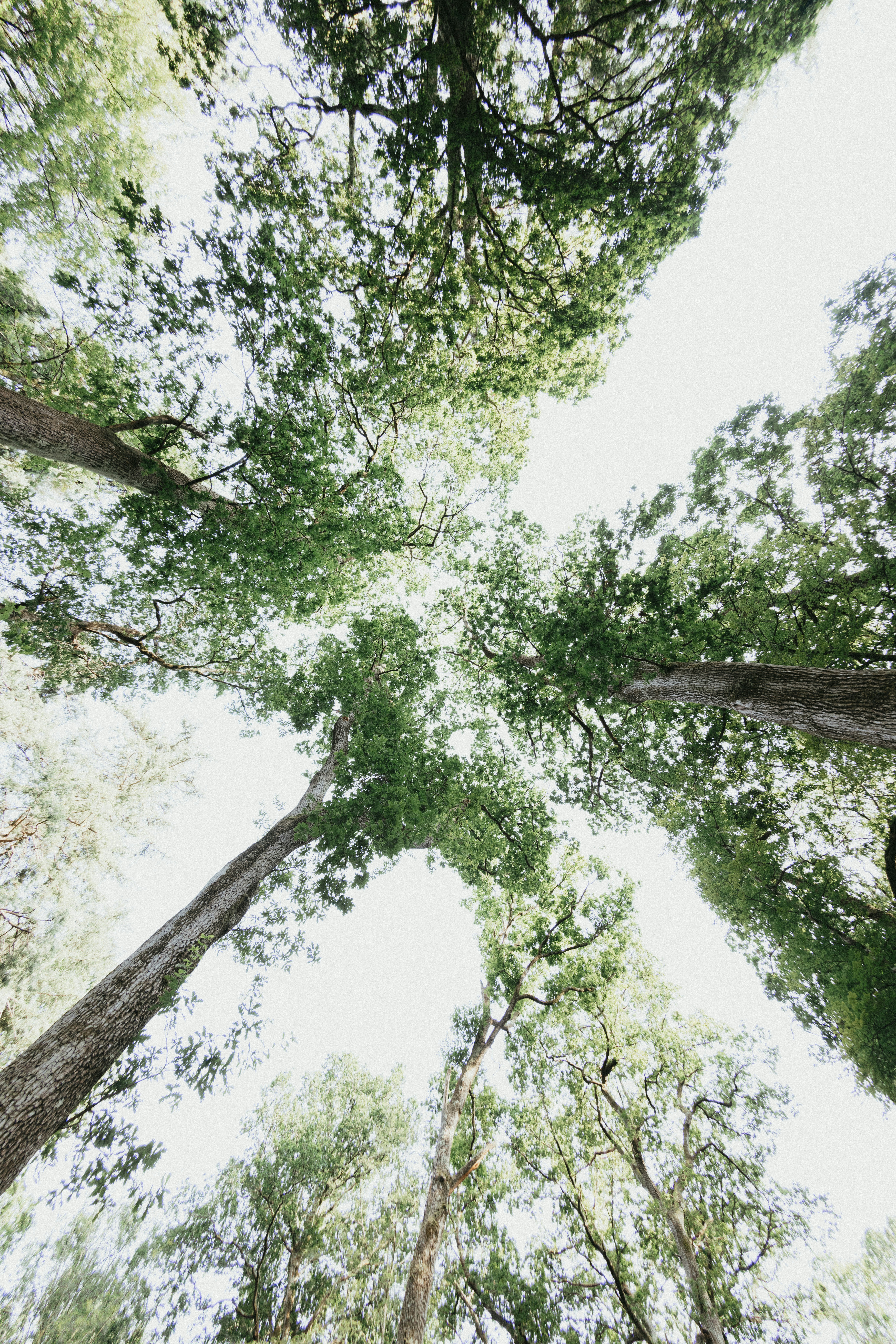 Photo by anniespratt