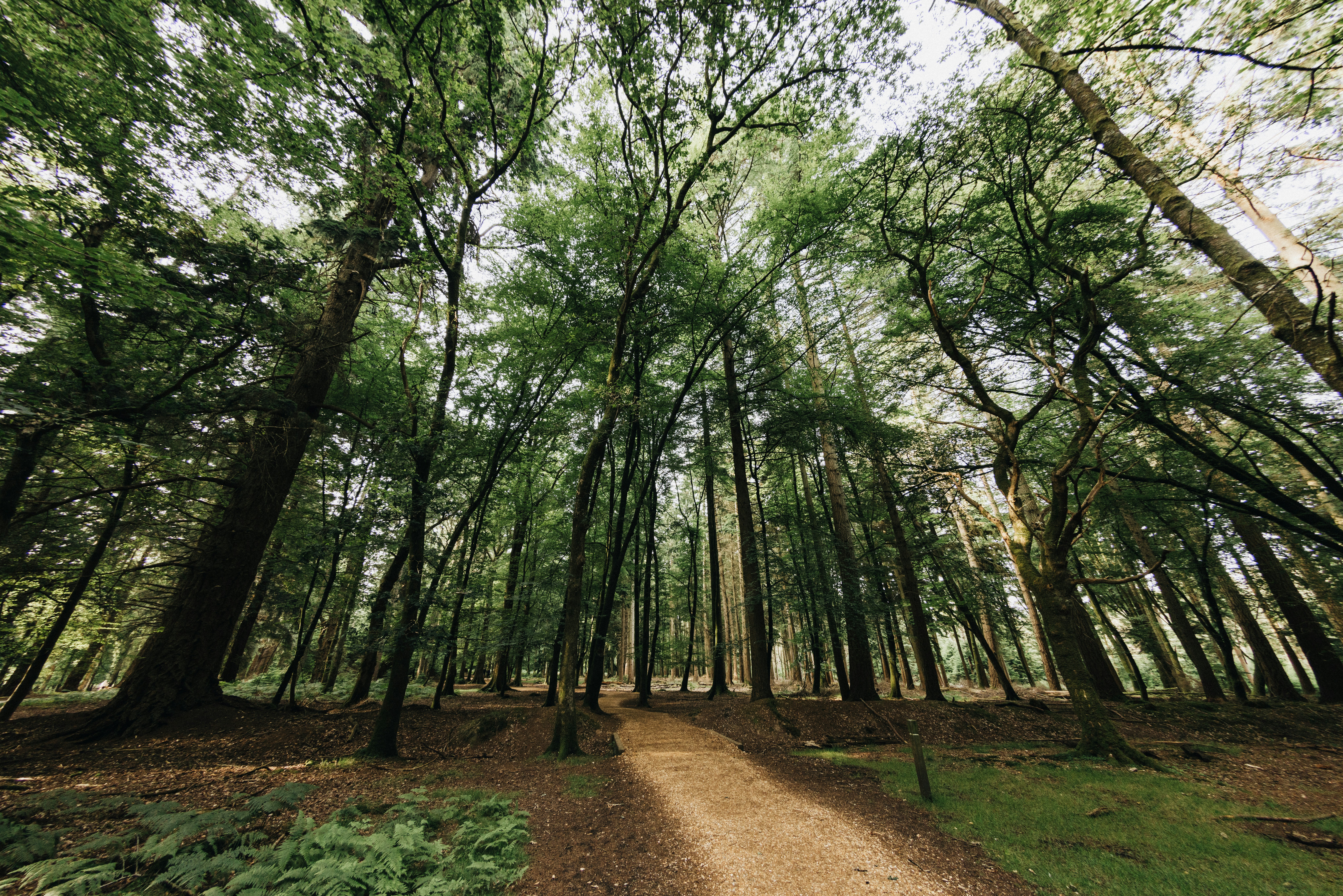 Photo by anniespratt