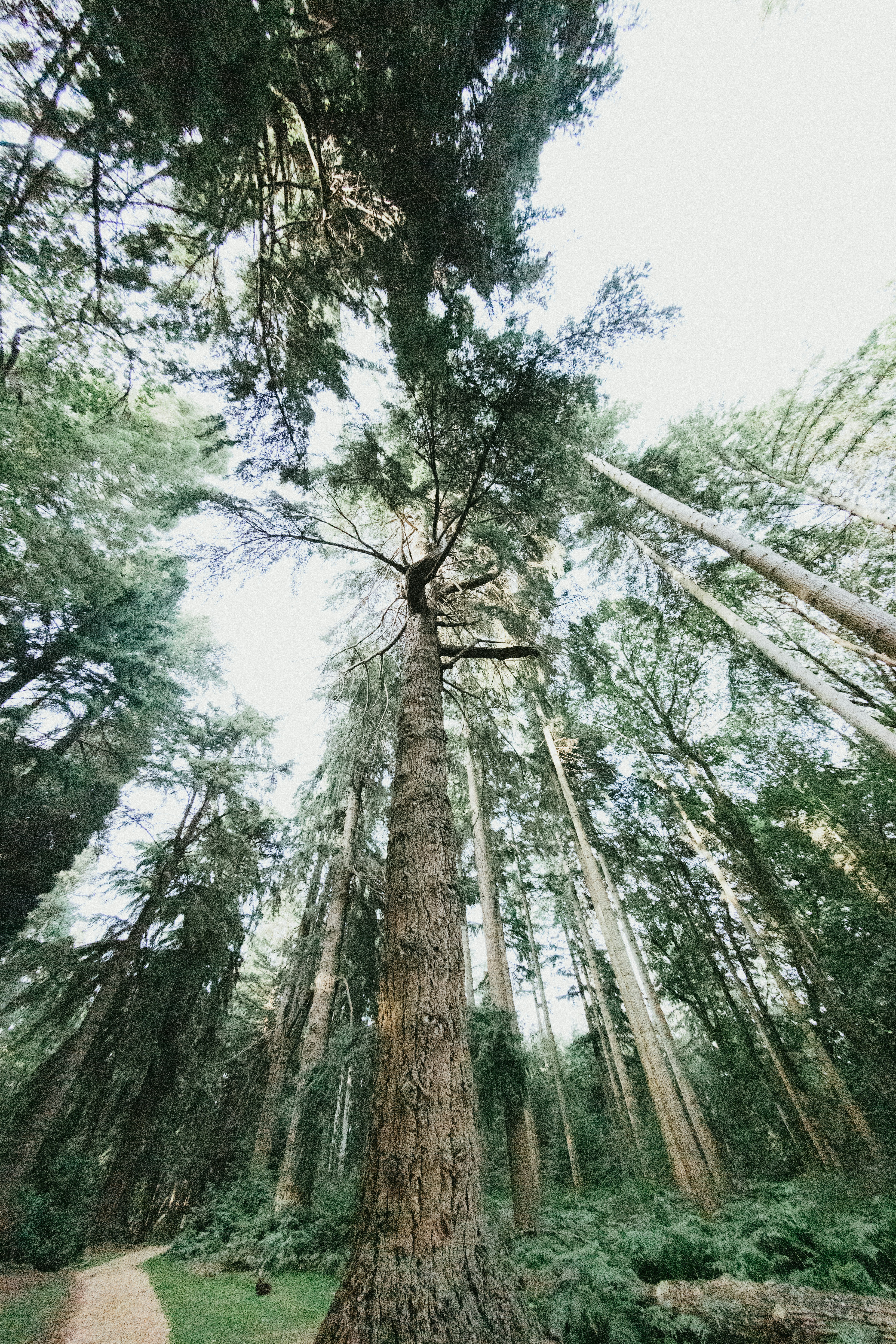 Photo by anniespratt