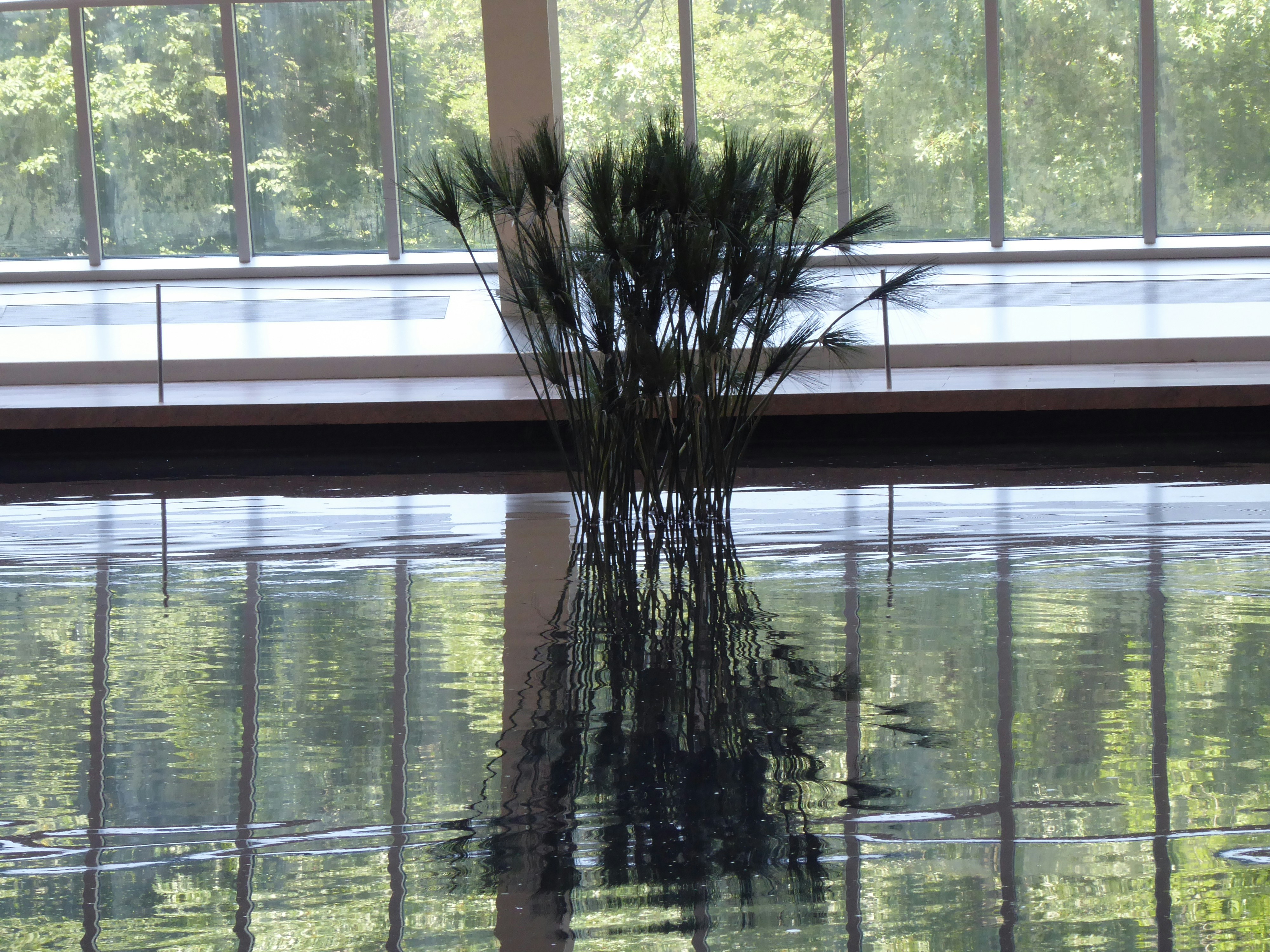 A vase with a plant in it sitting in front of a window