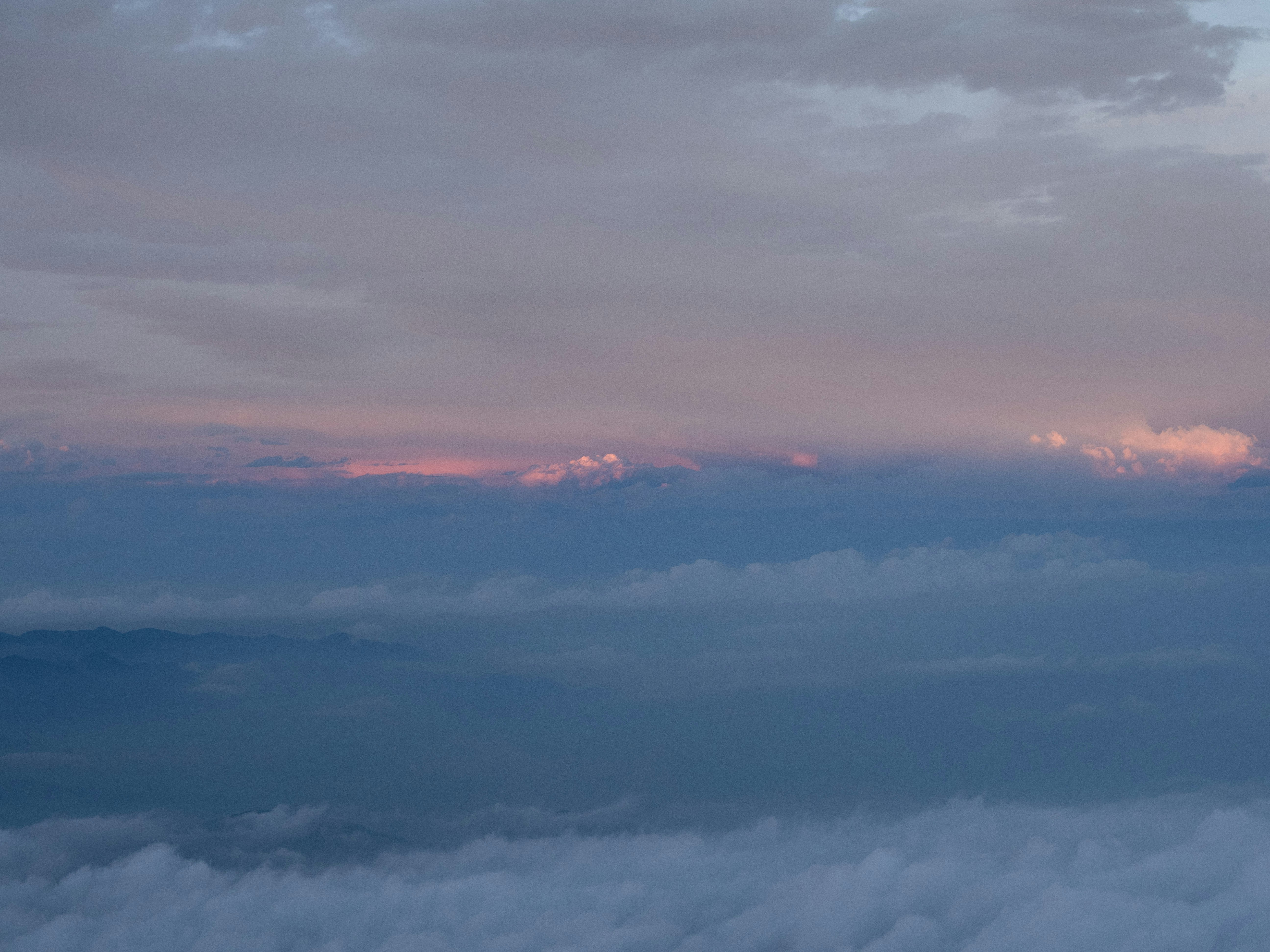 Photo by shellingfordyu