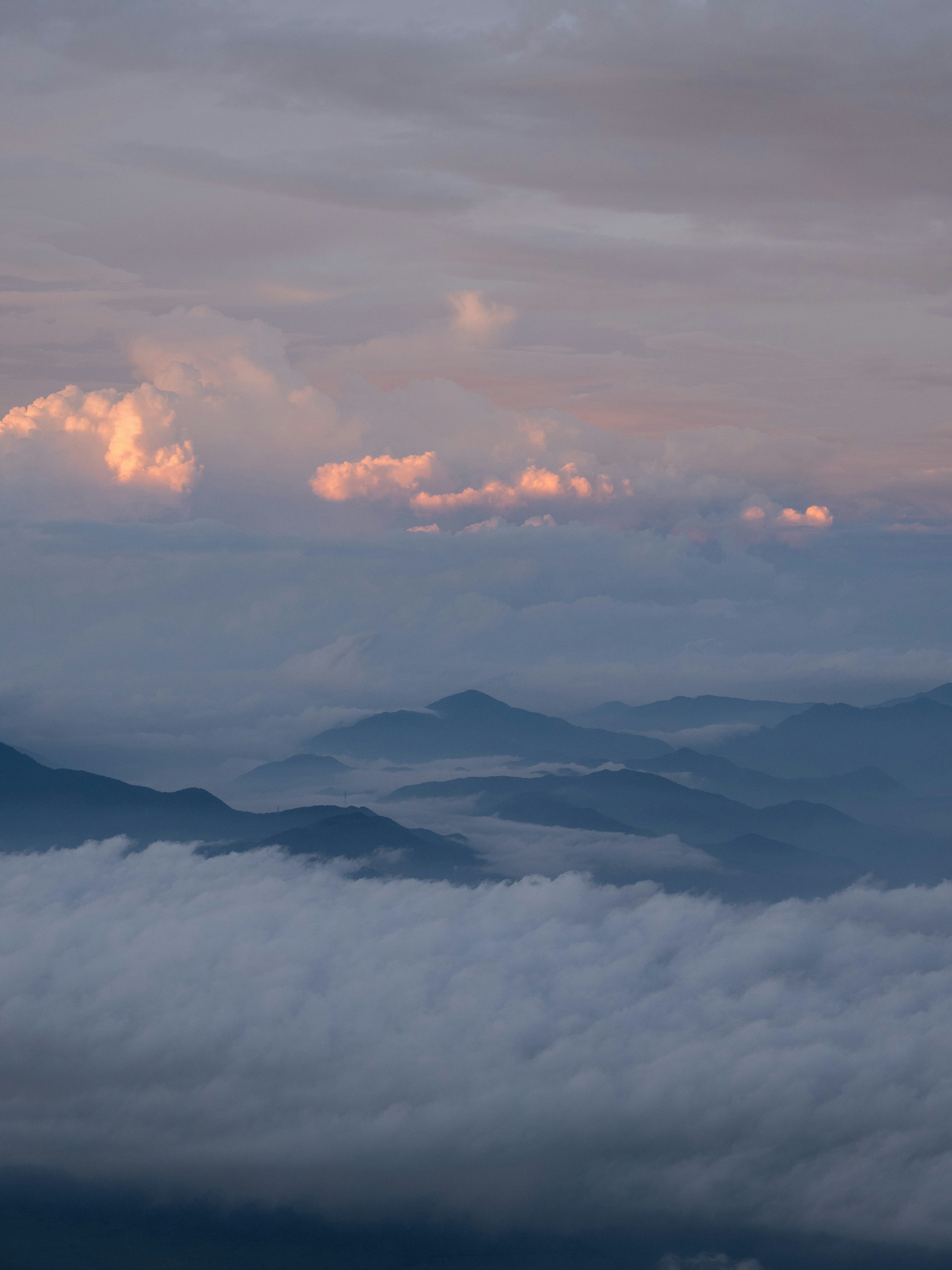 Photo by shellingfordyu