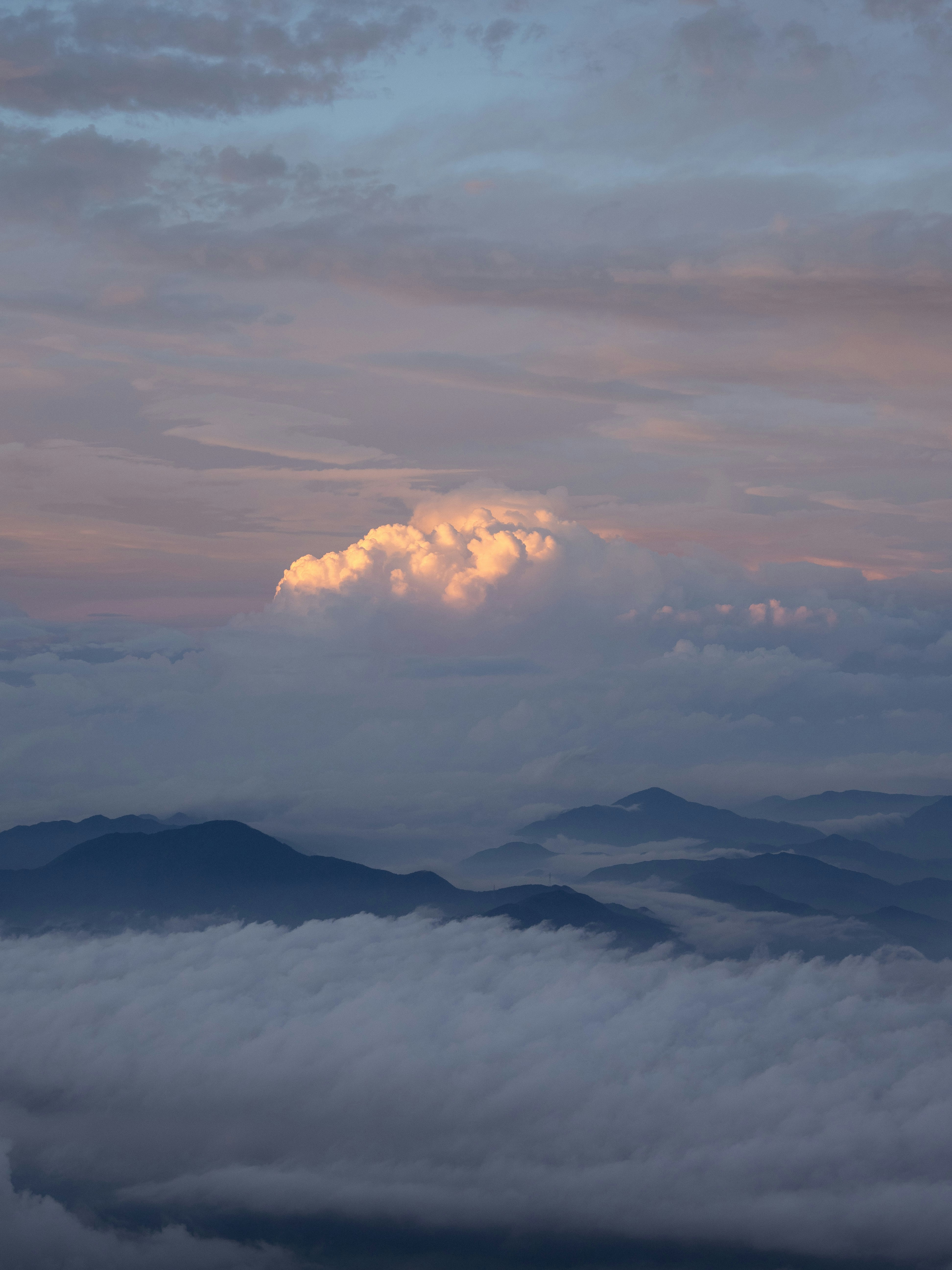 Photo by shellingfordyu