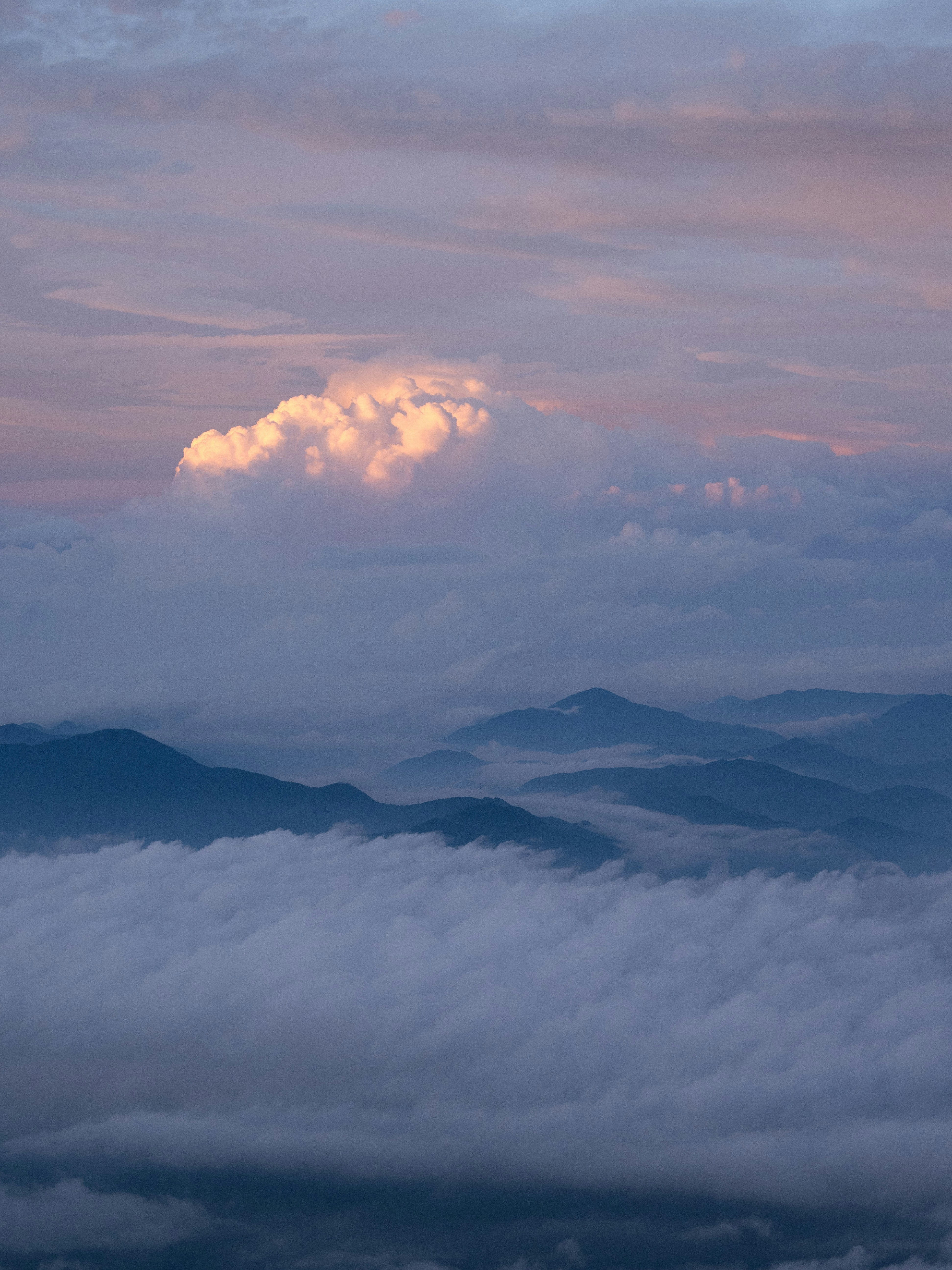 Photo by shellingfordyu