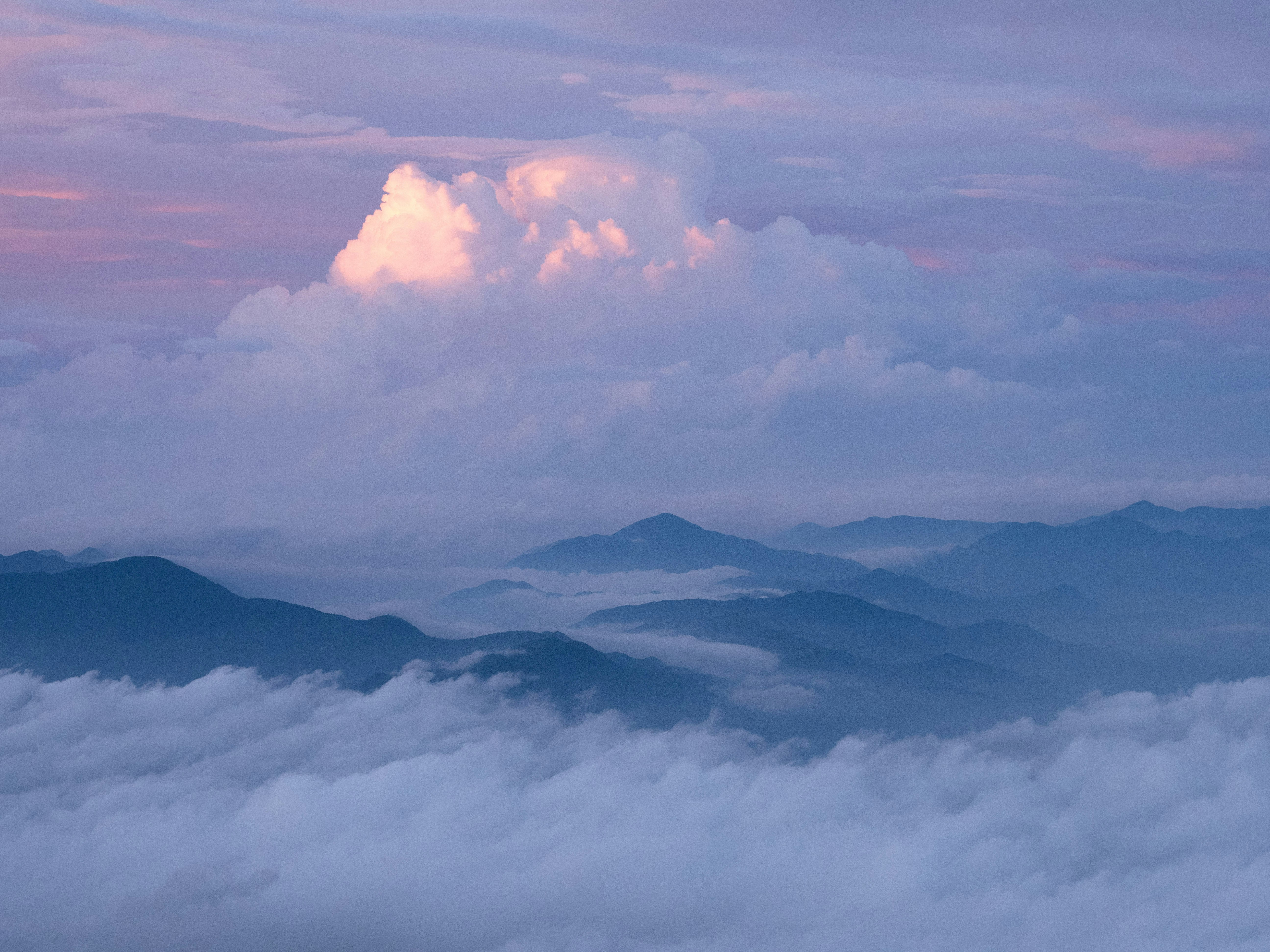 Photo by shellingfordyu