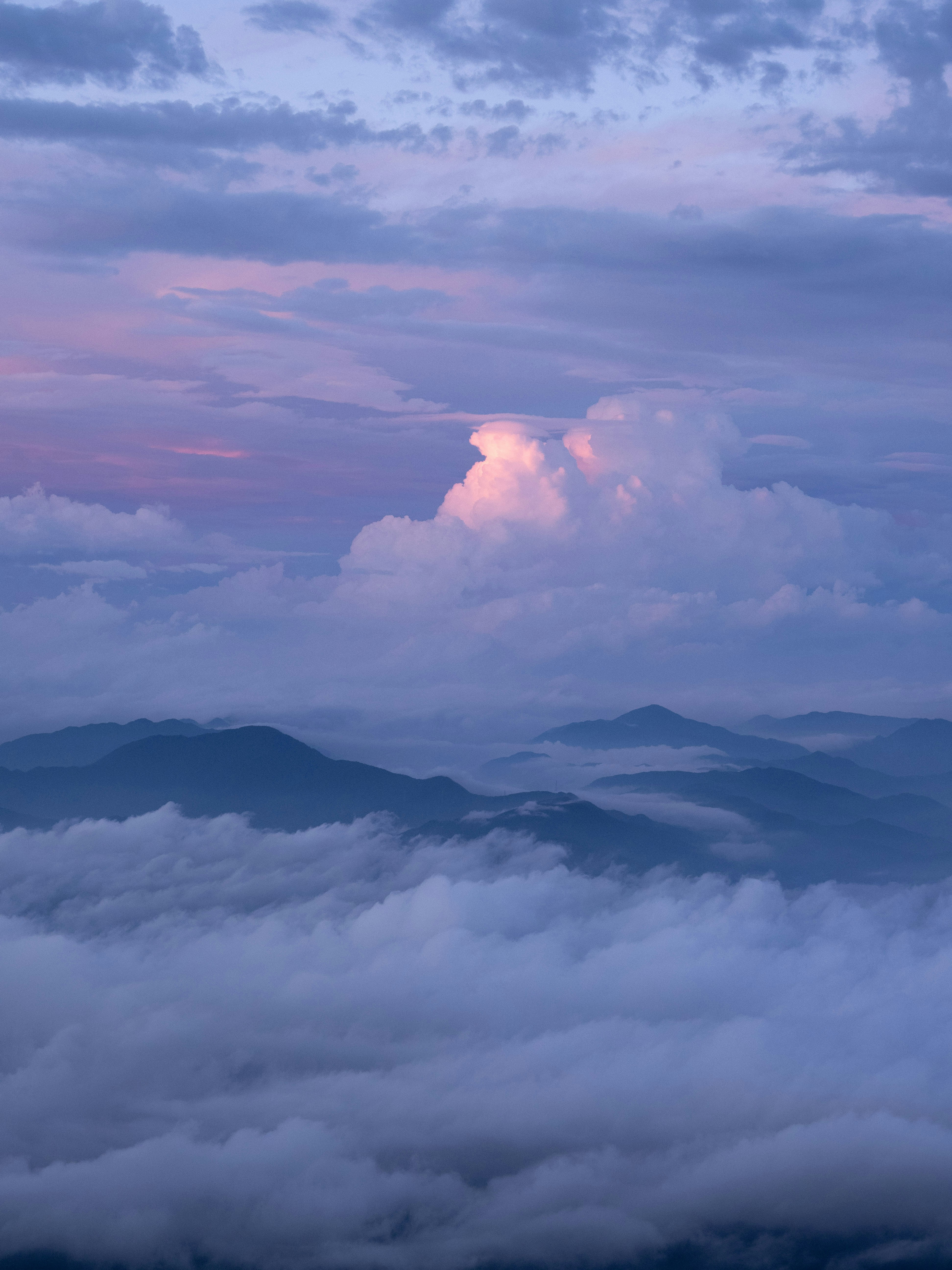 Photo by shellingfordyu