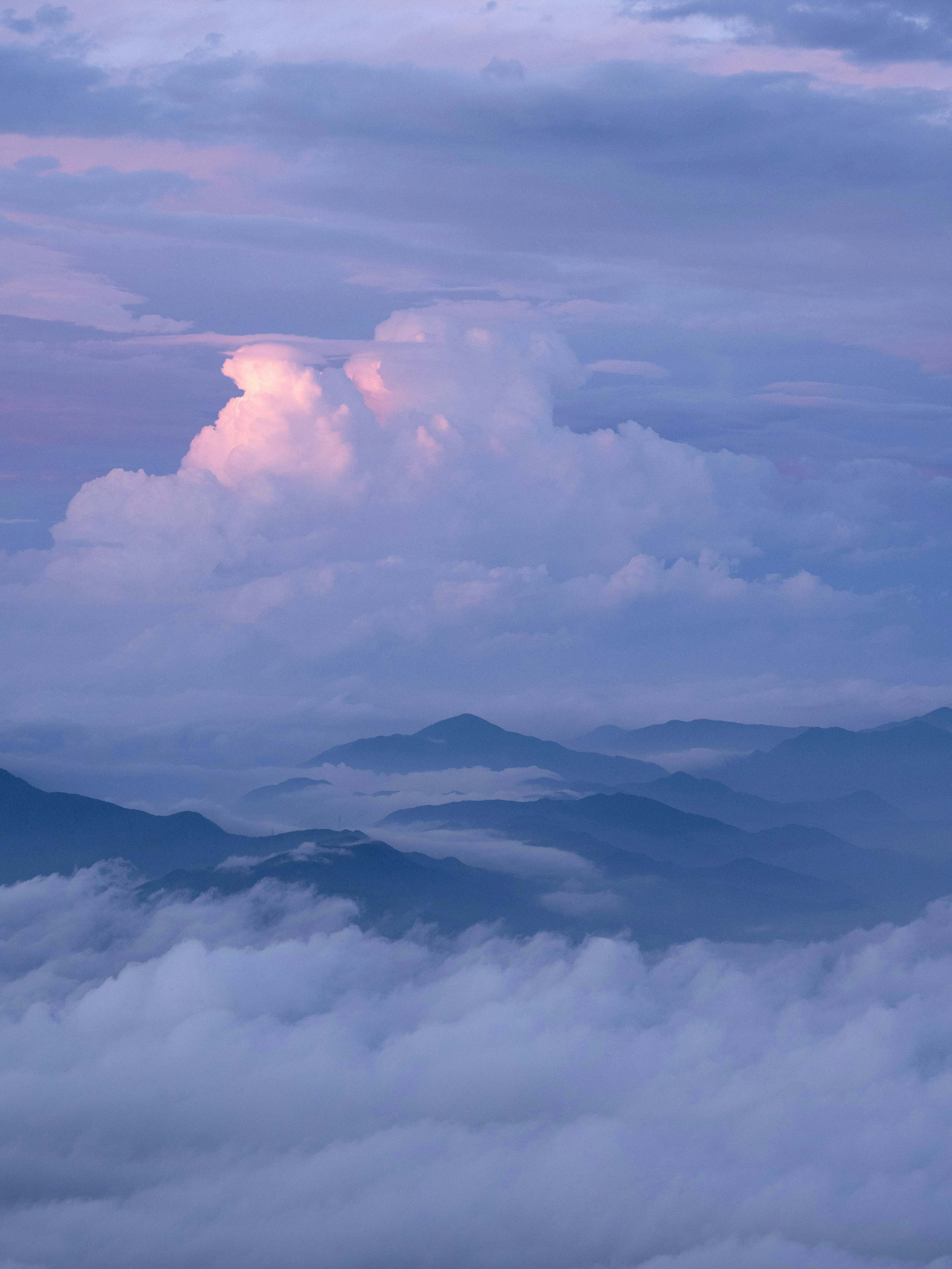 Photo by shellingfordyu