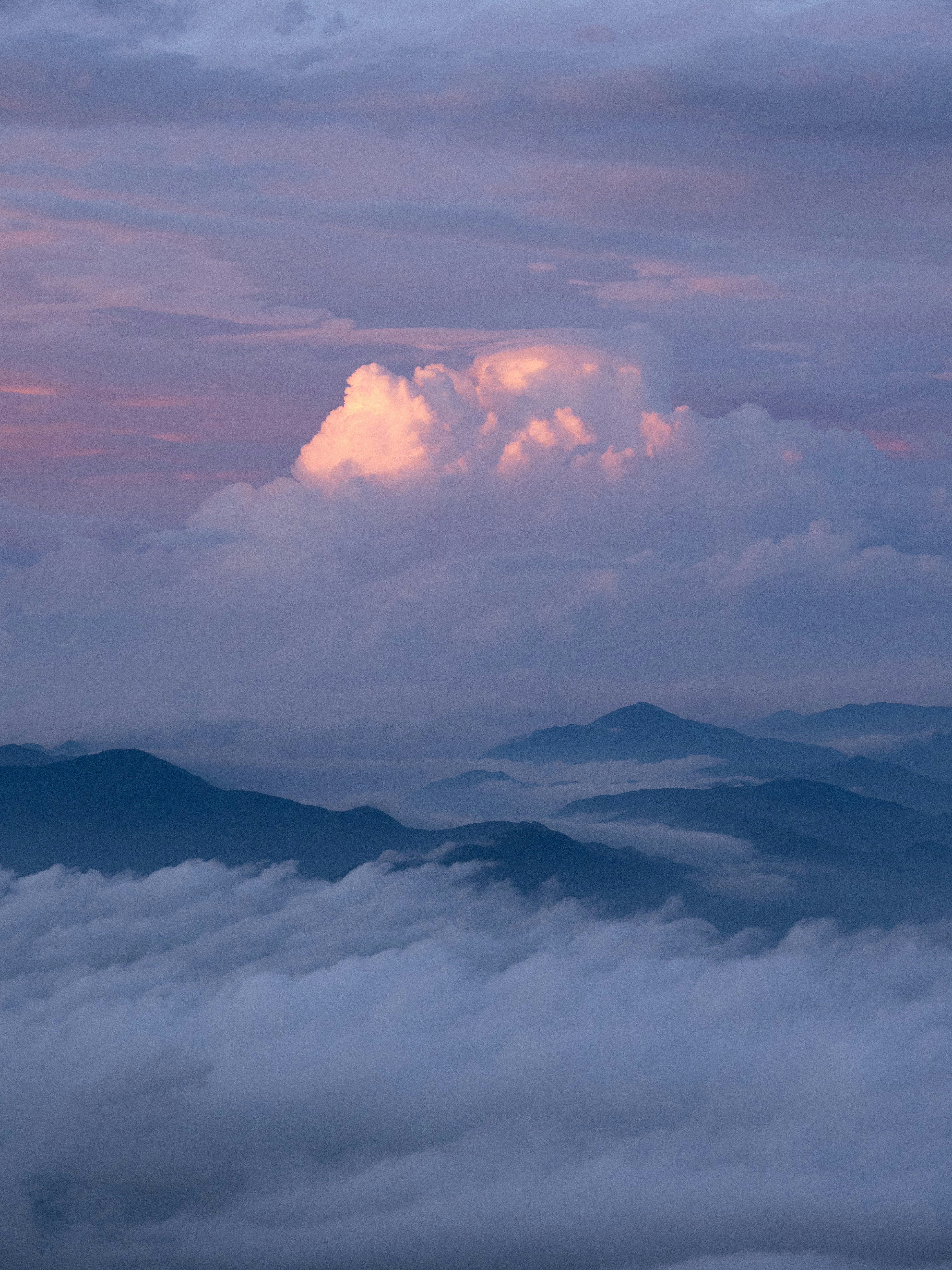 Photo by shellingfordyu