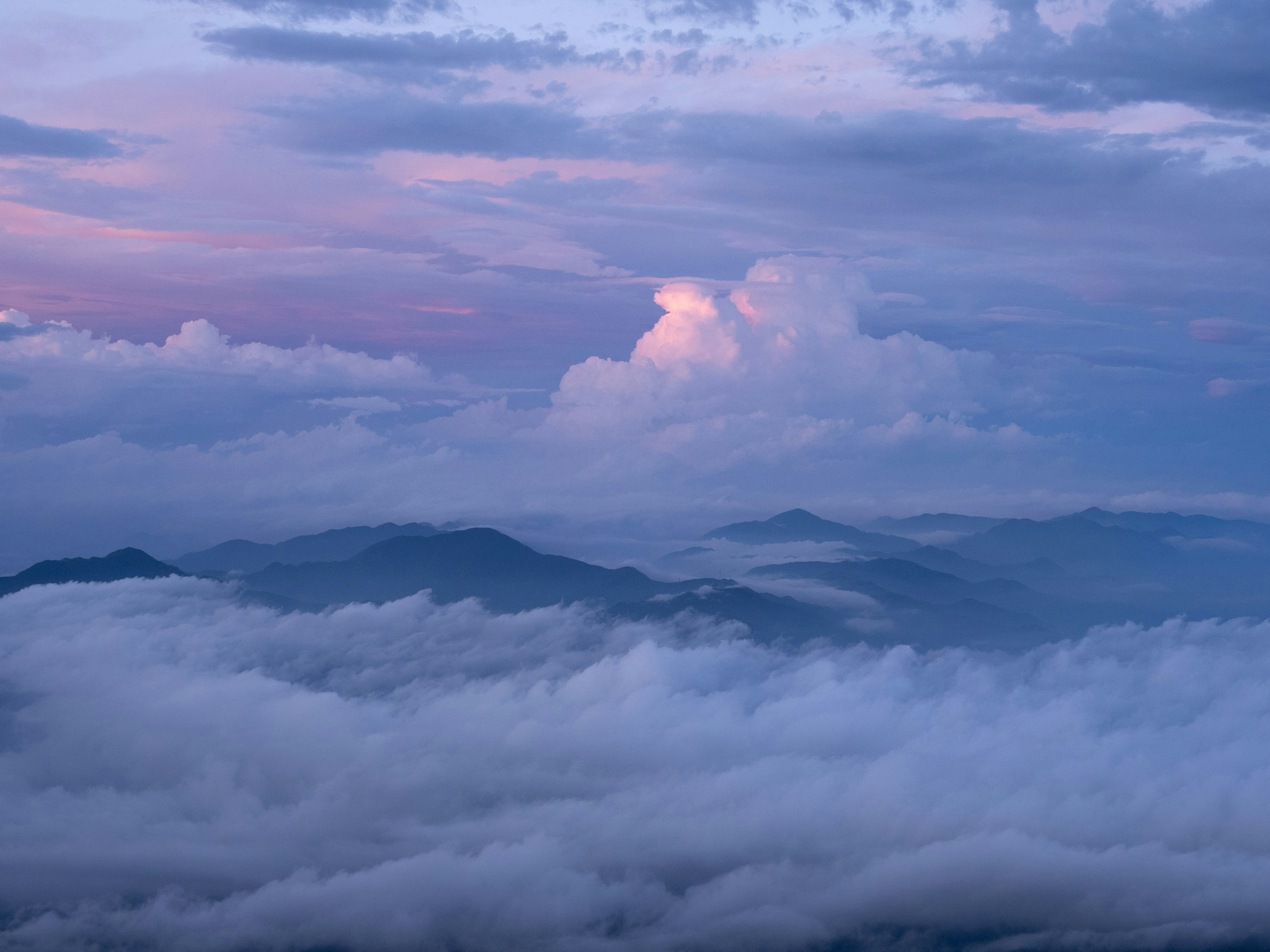 Photo by shellingfordyu