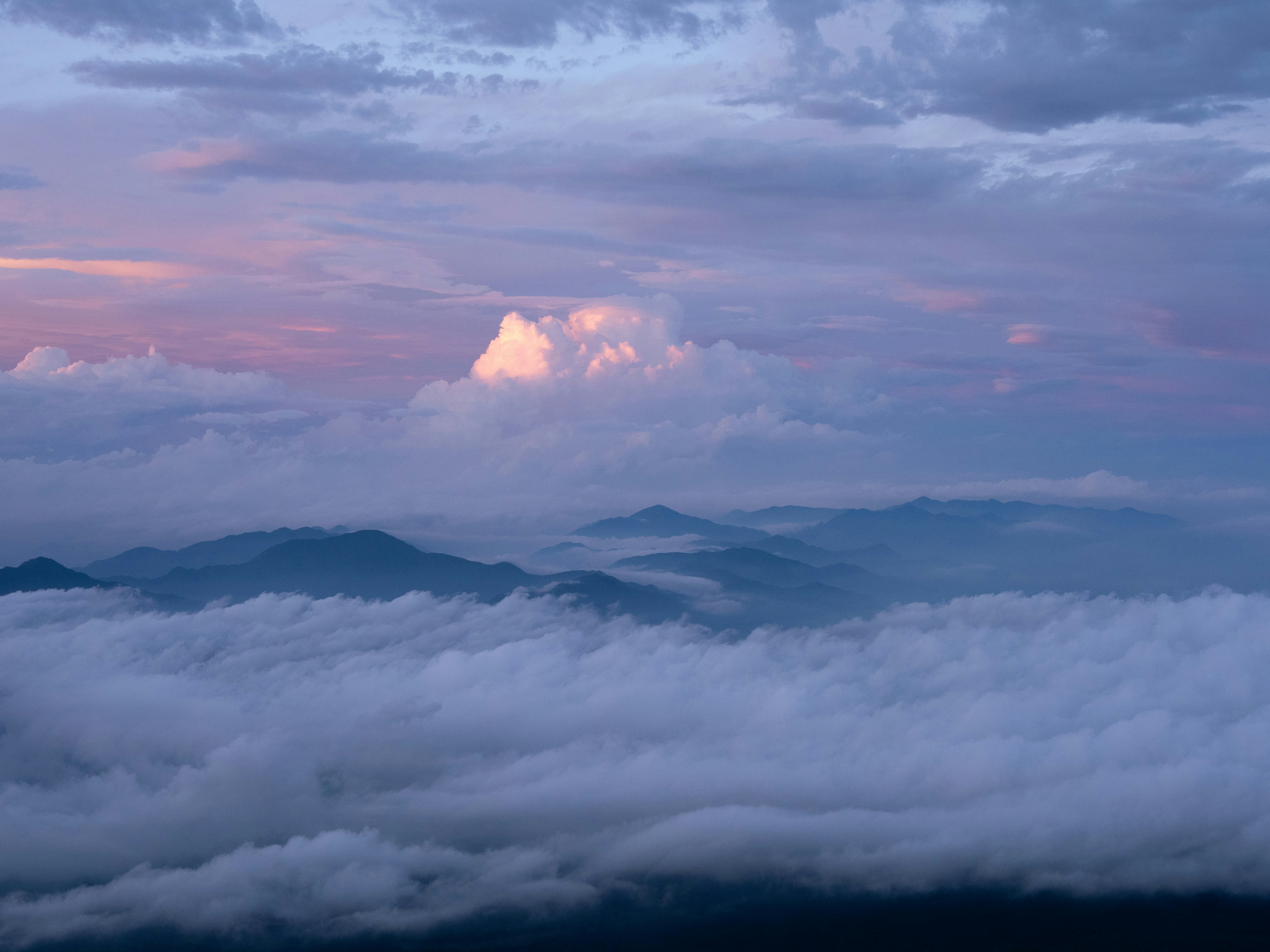 Photo by shellingfordyu