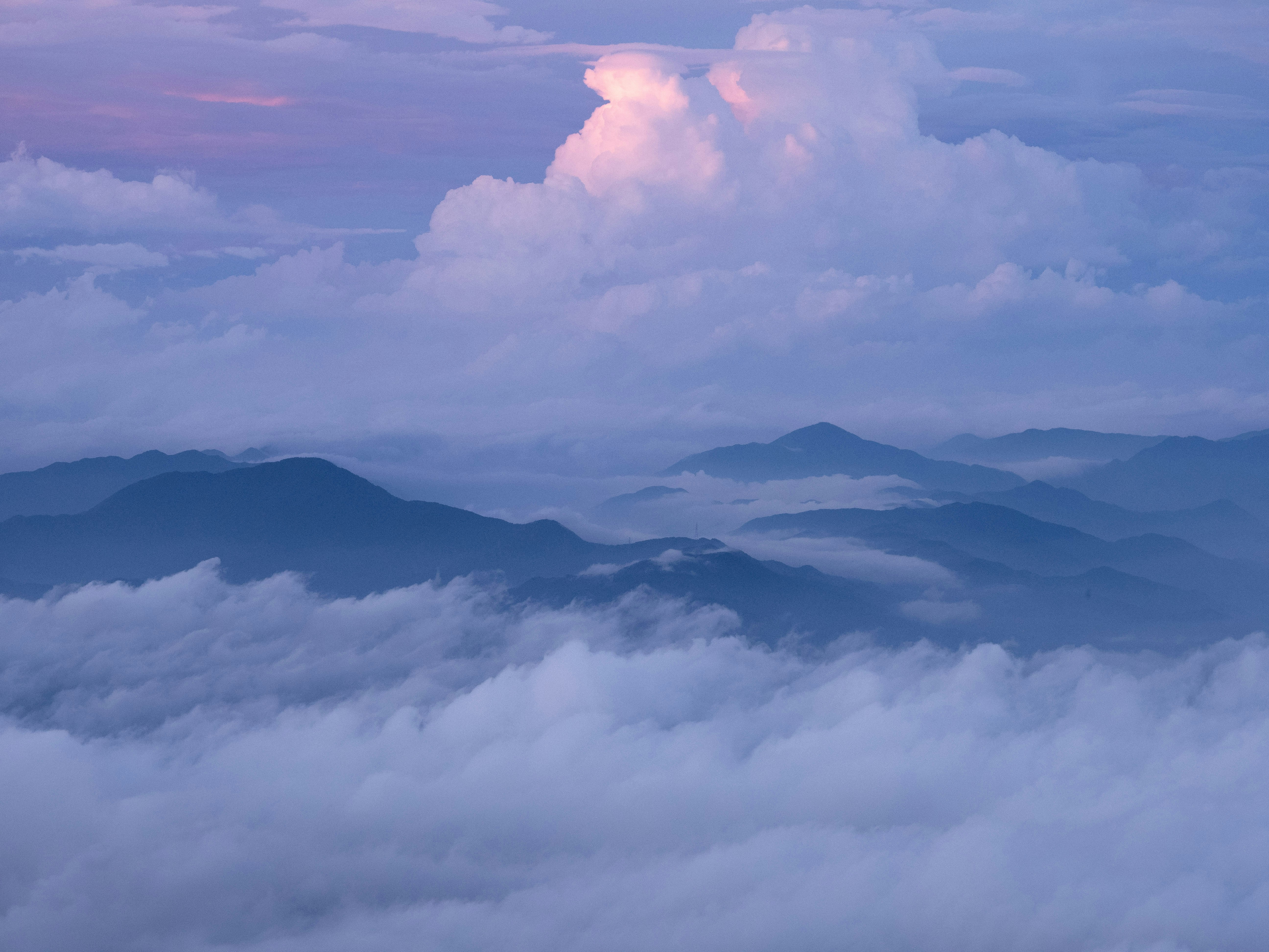 Photo by shellingfordyu