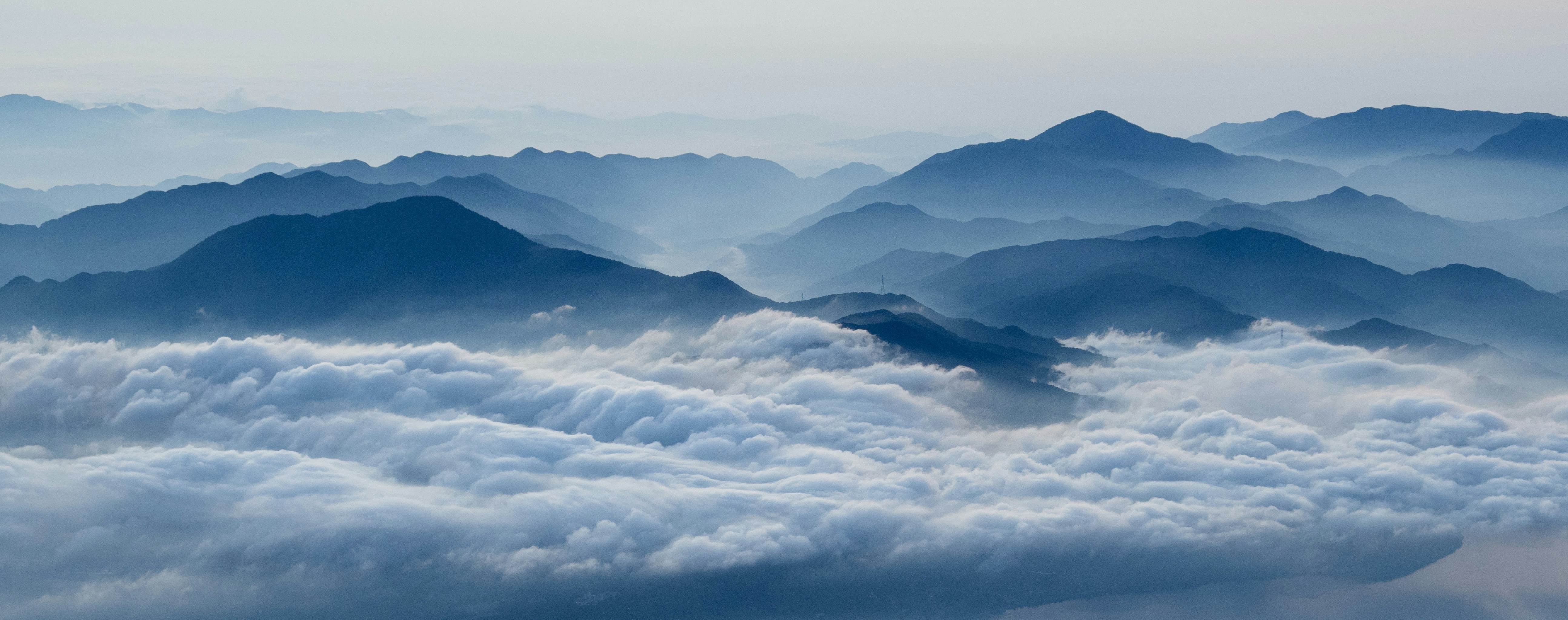 Photo by shellingfordyu