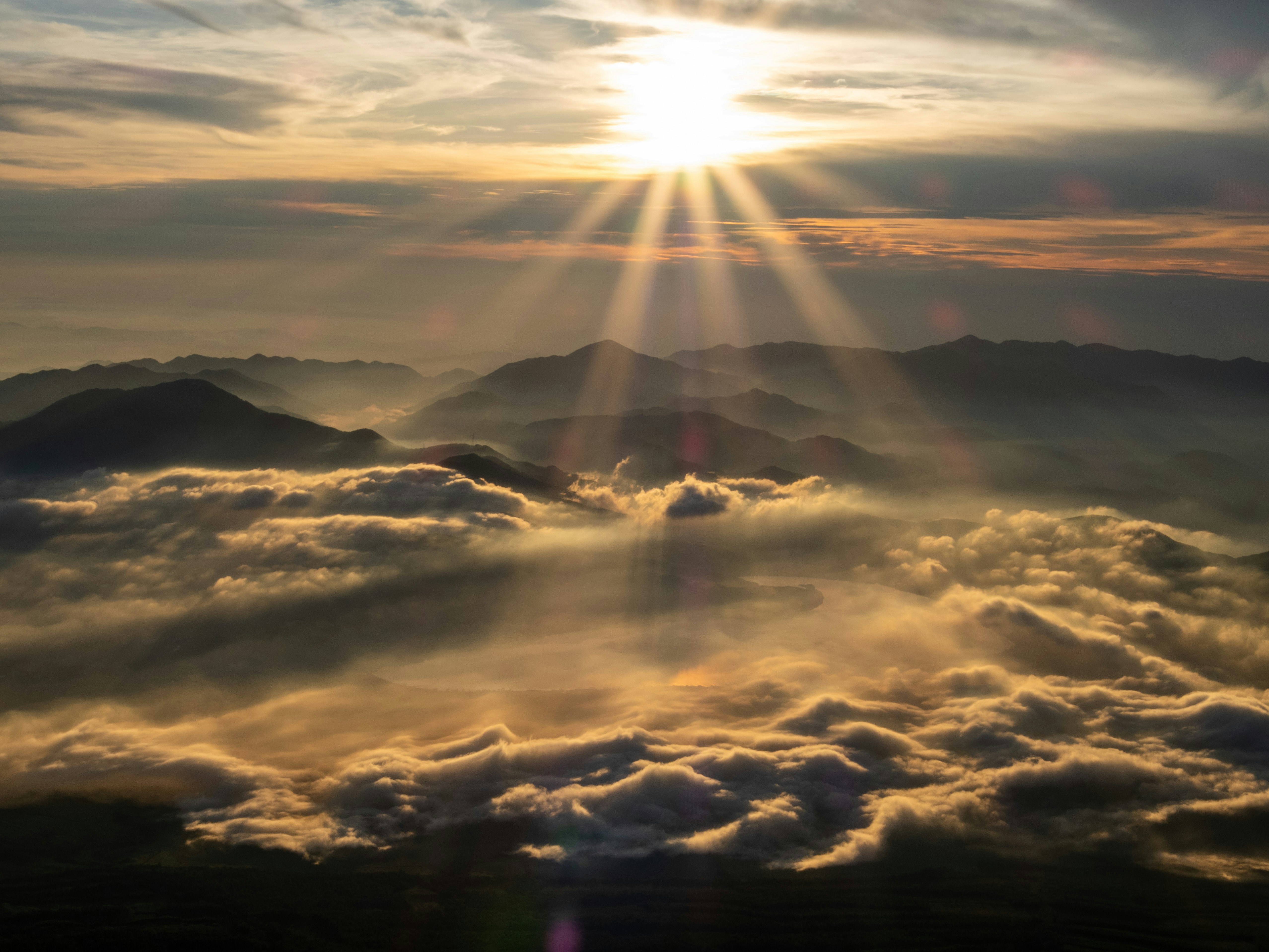 Photo by shellingfordyu