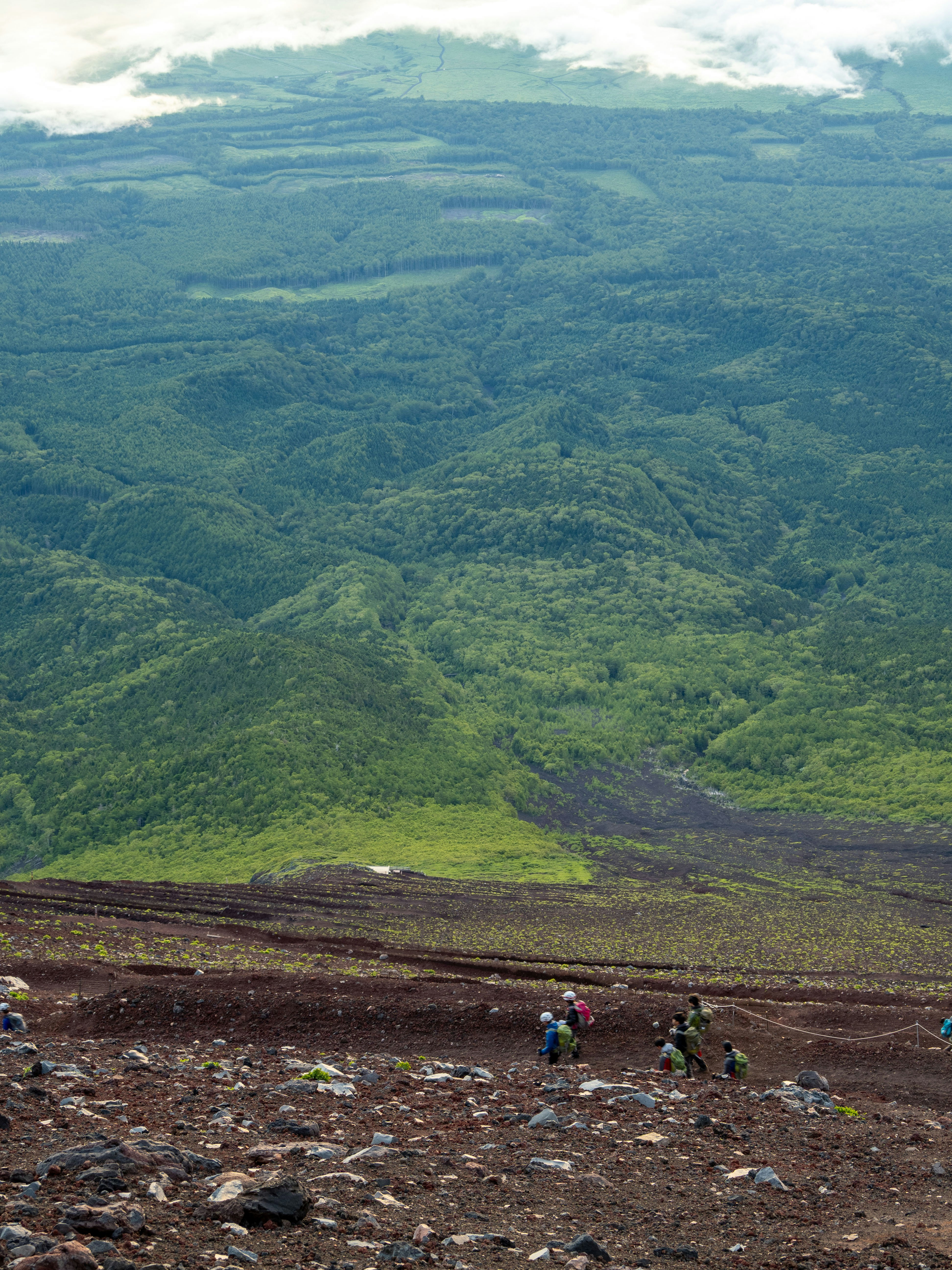 The Convenience Factor: Time, Language, and Hassle