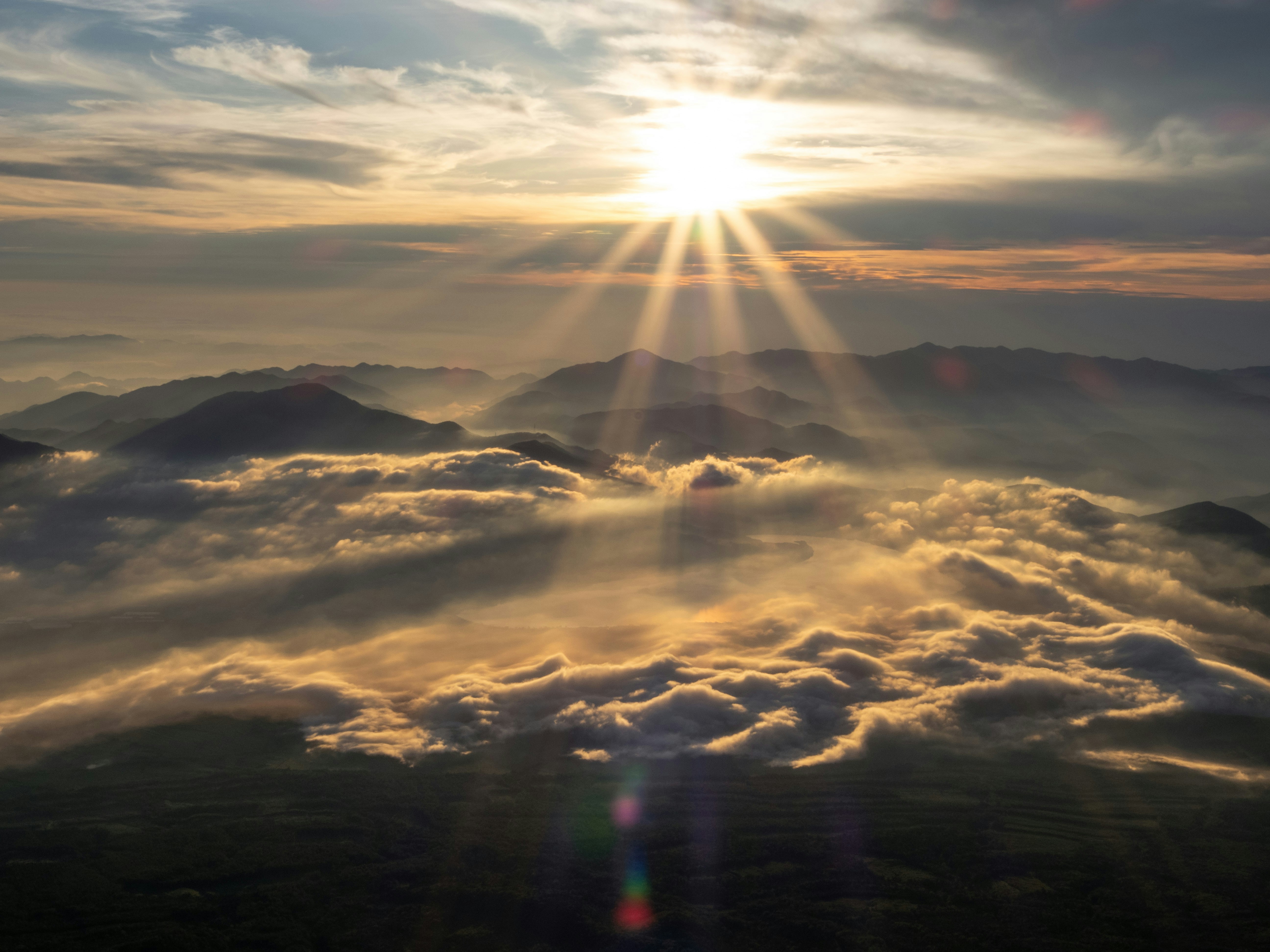 Photo by shellingfordyu