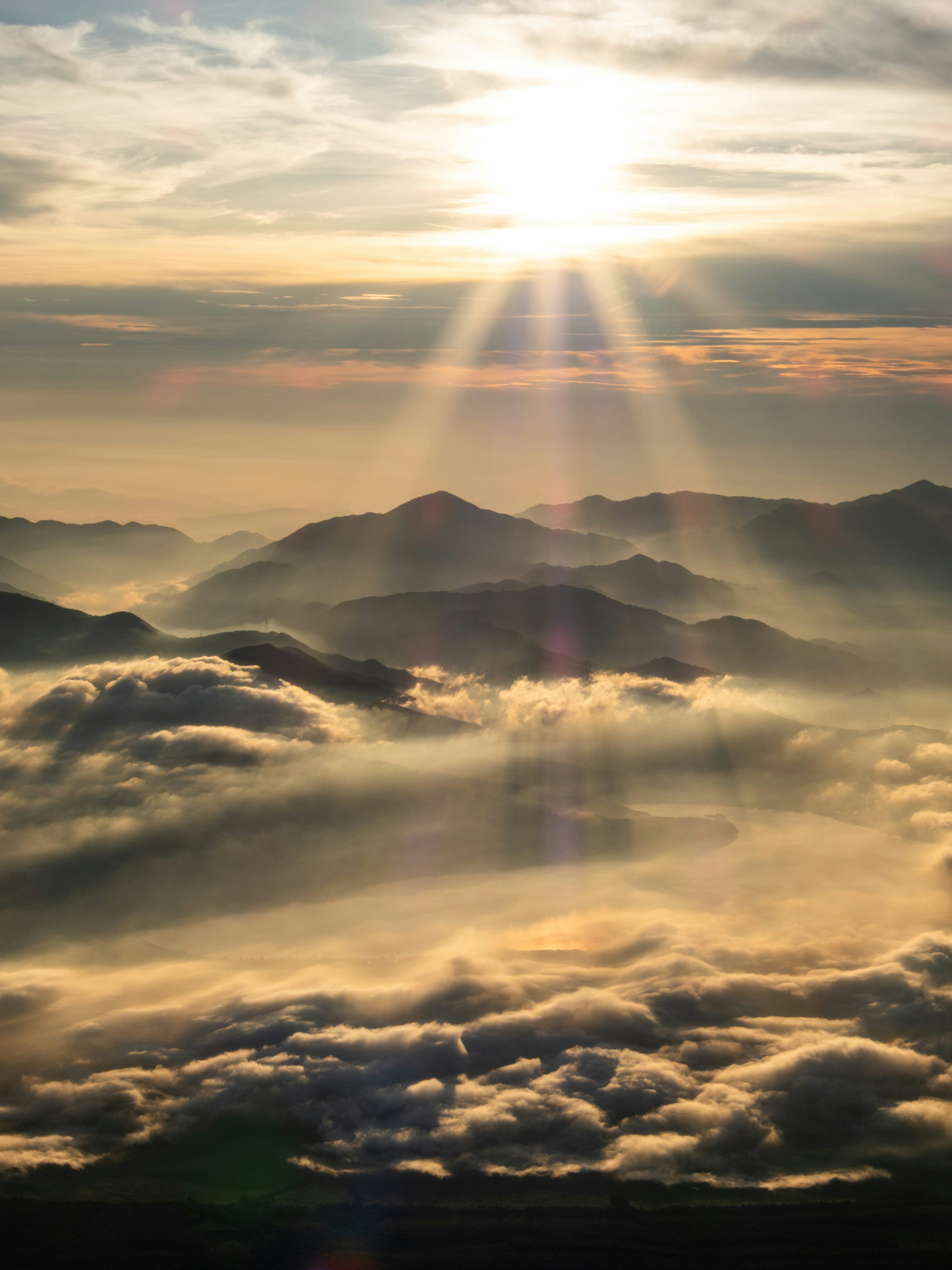 Photo by shellingfordyu