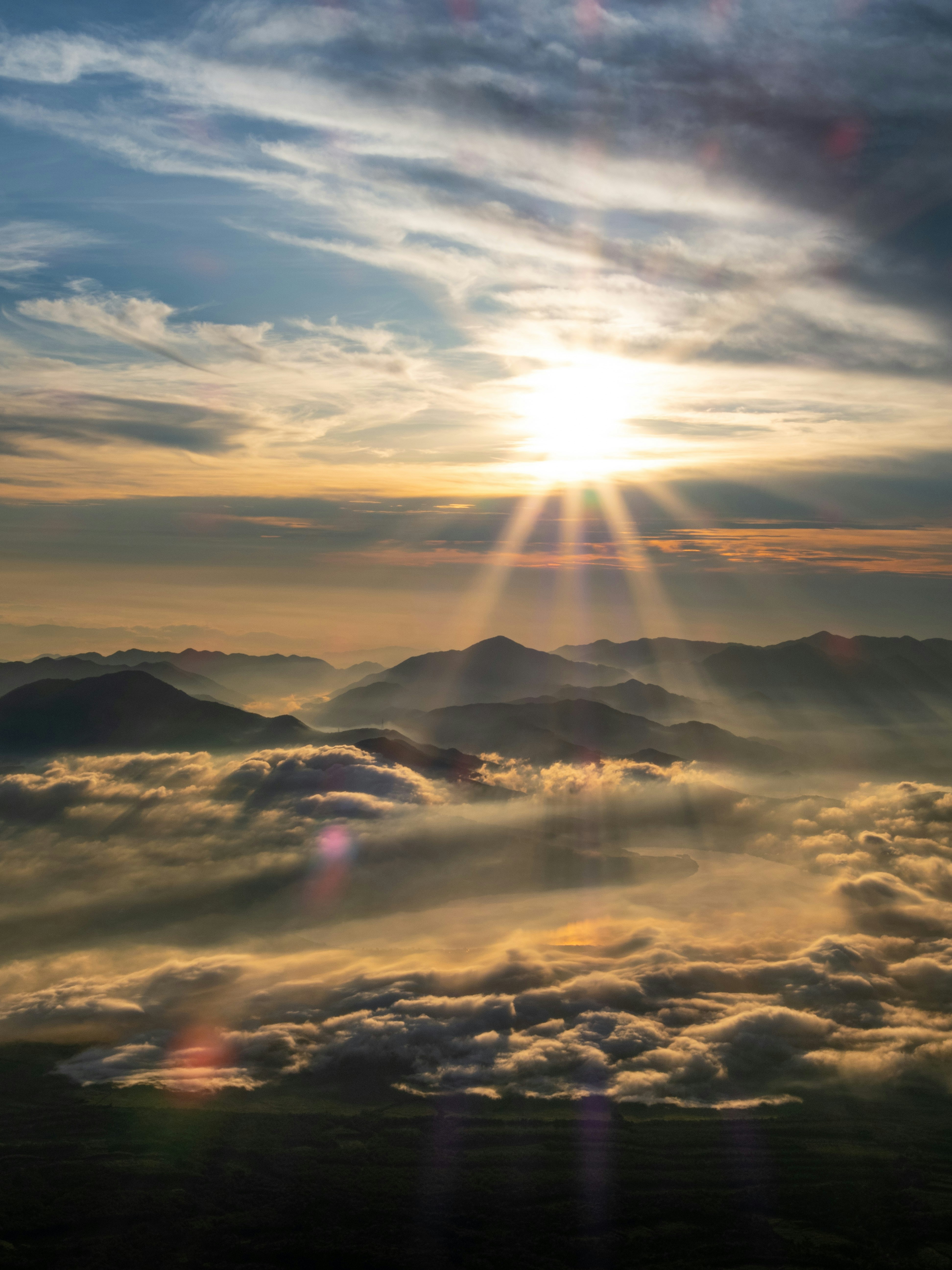 Photo by shellingfordyu