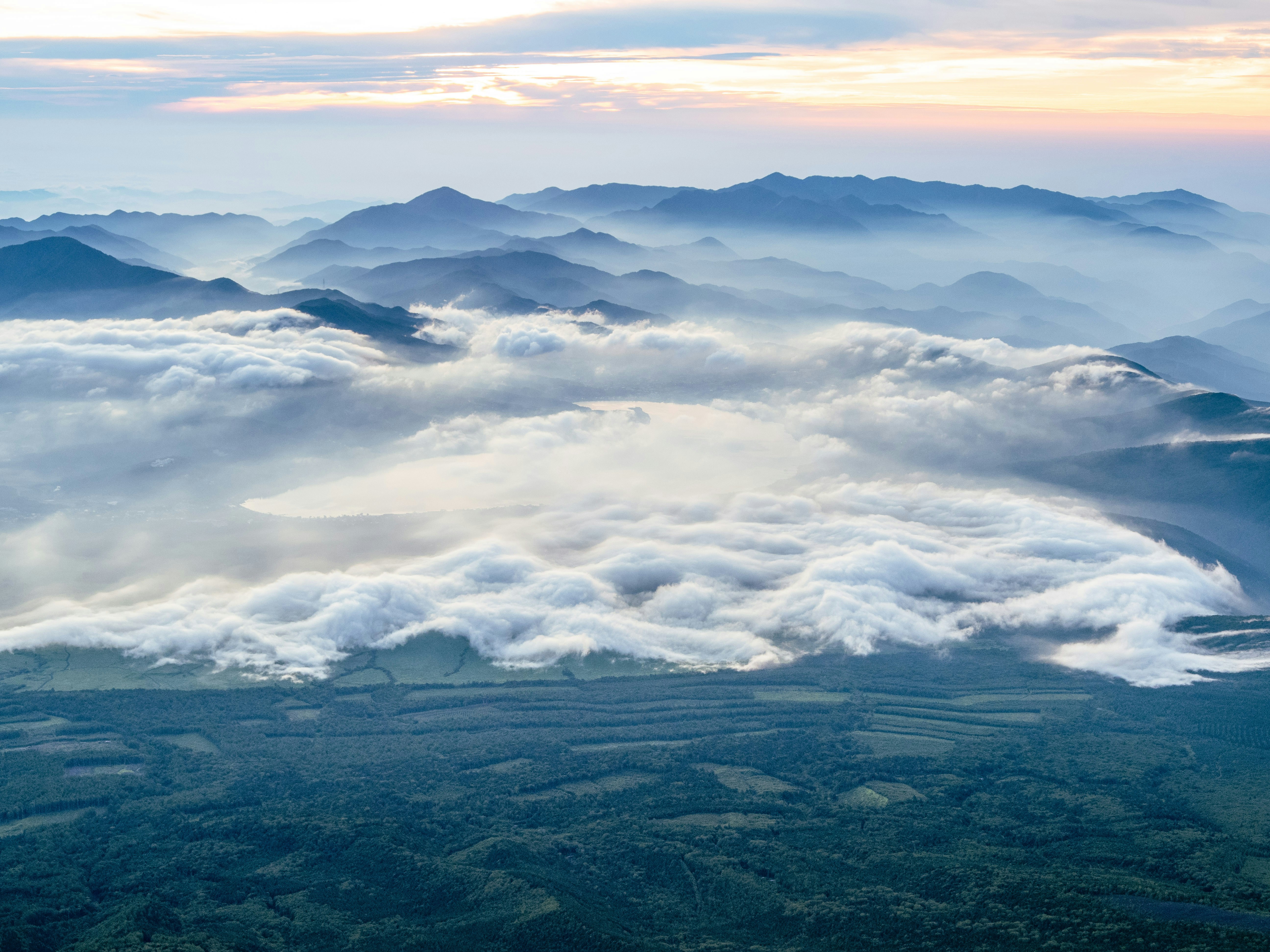 Photo by shellingfordyu