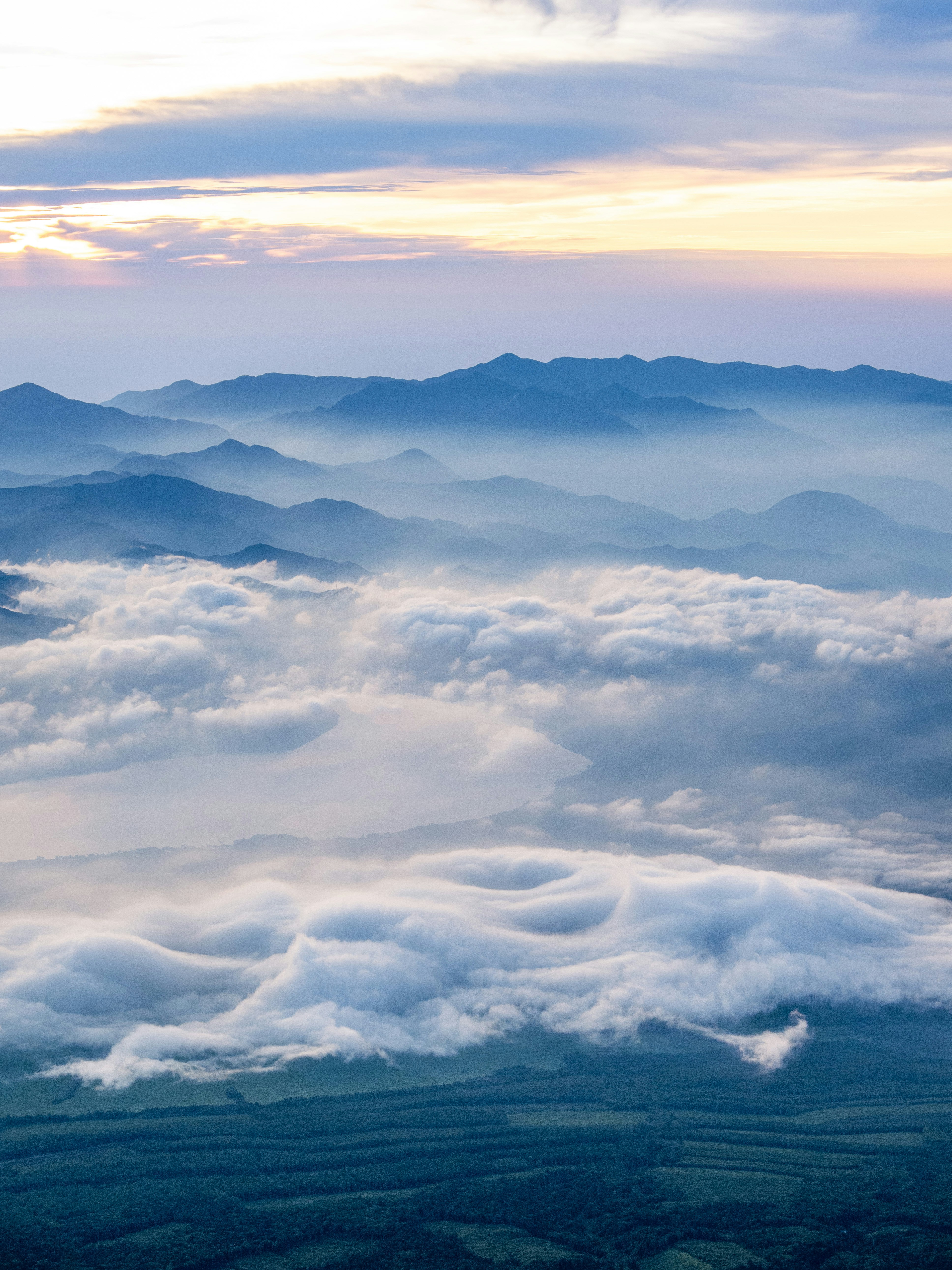 Photo by shellingfordyu