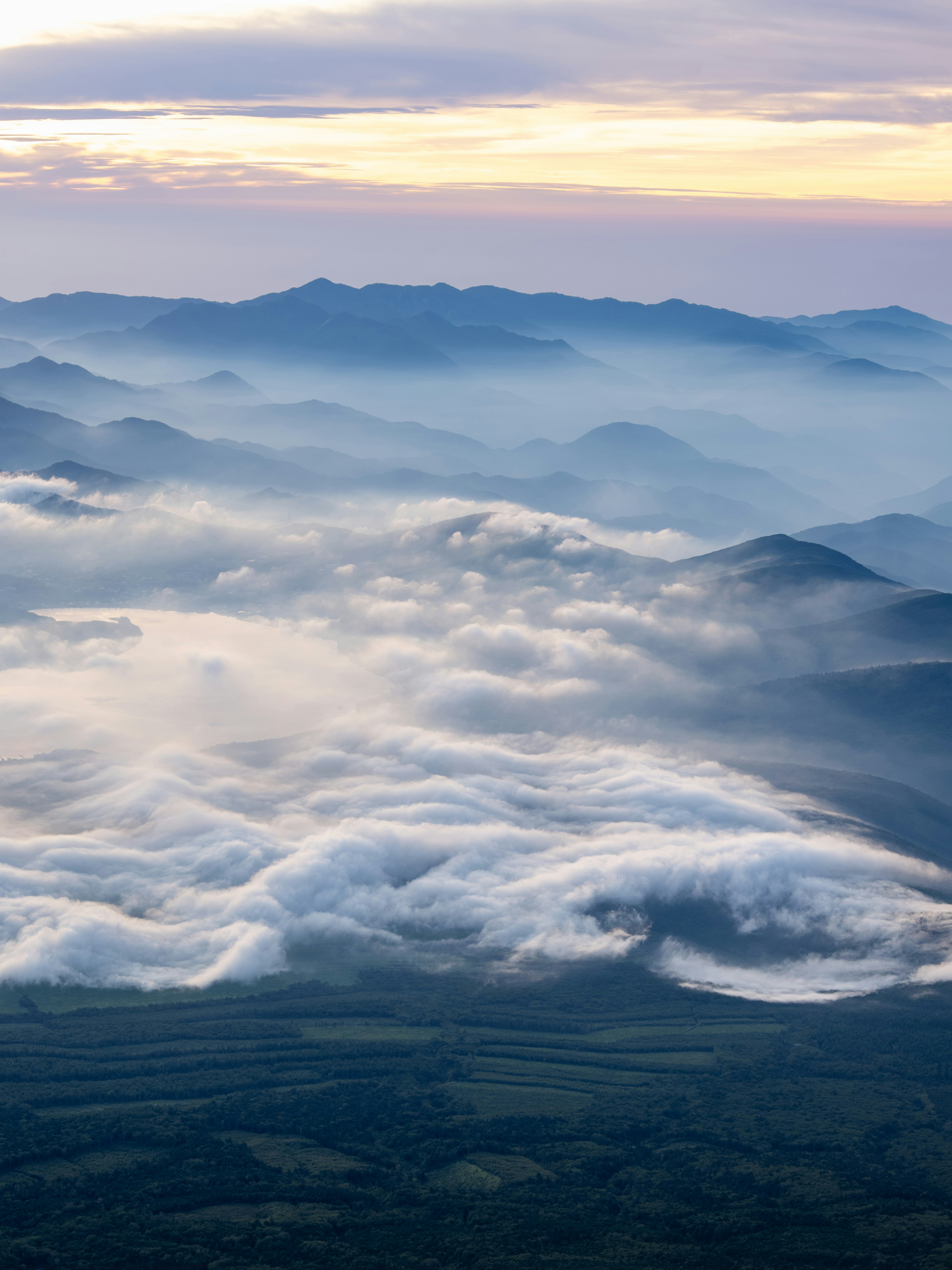 Photo by shellingfordyu