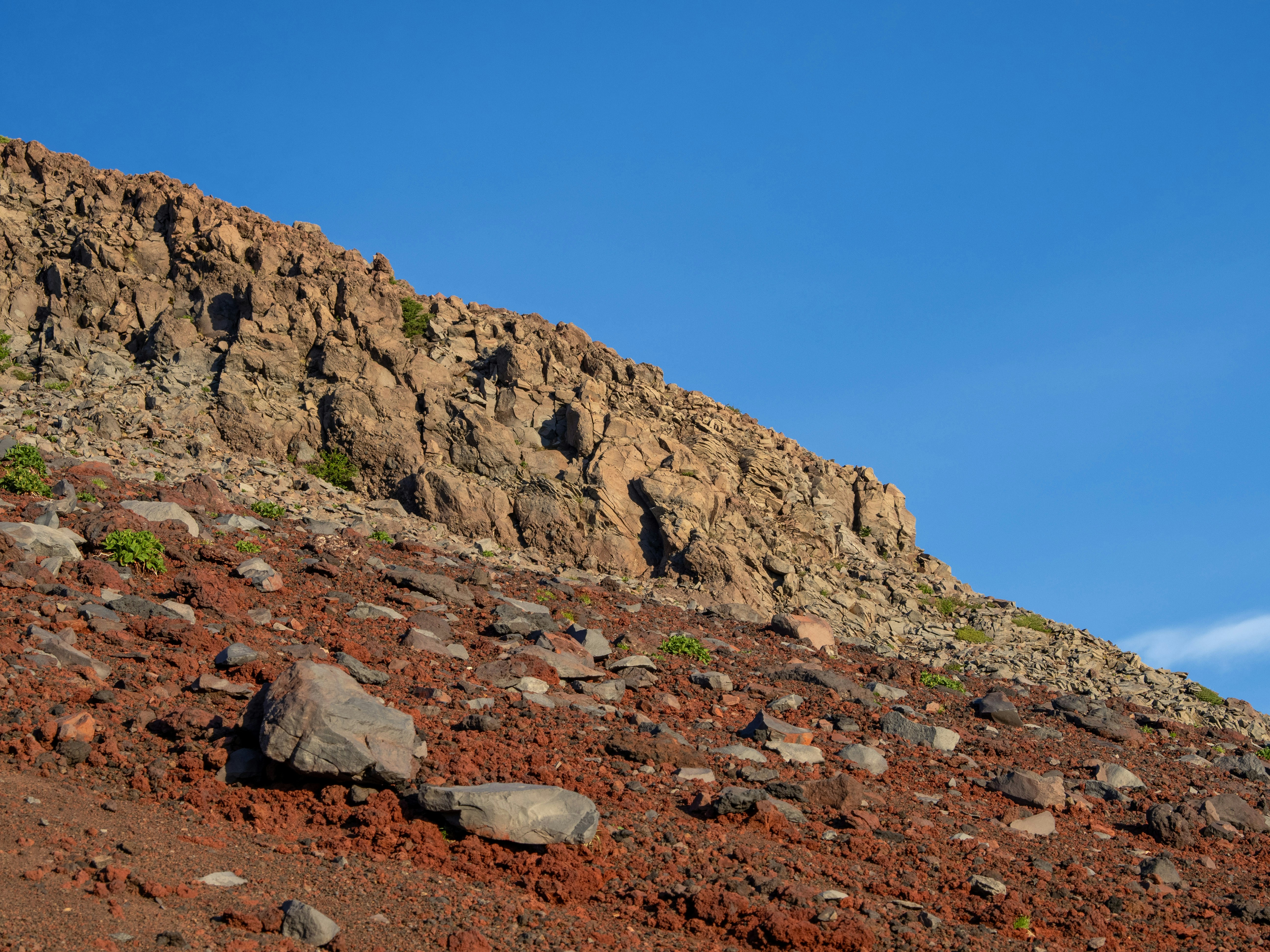 Photo by shellingfordyu