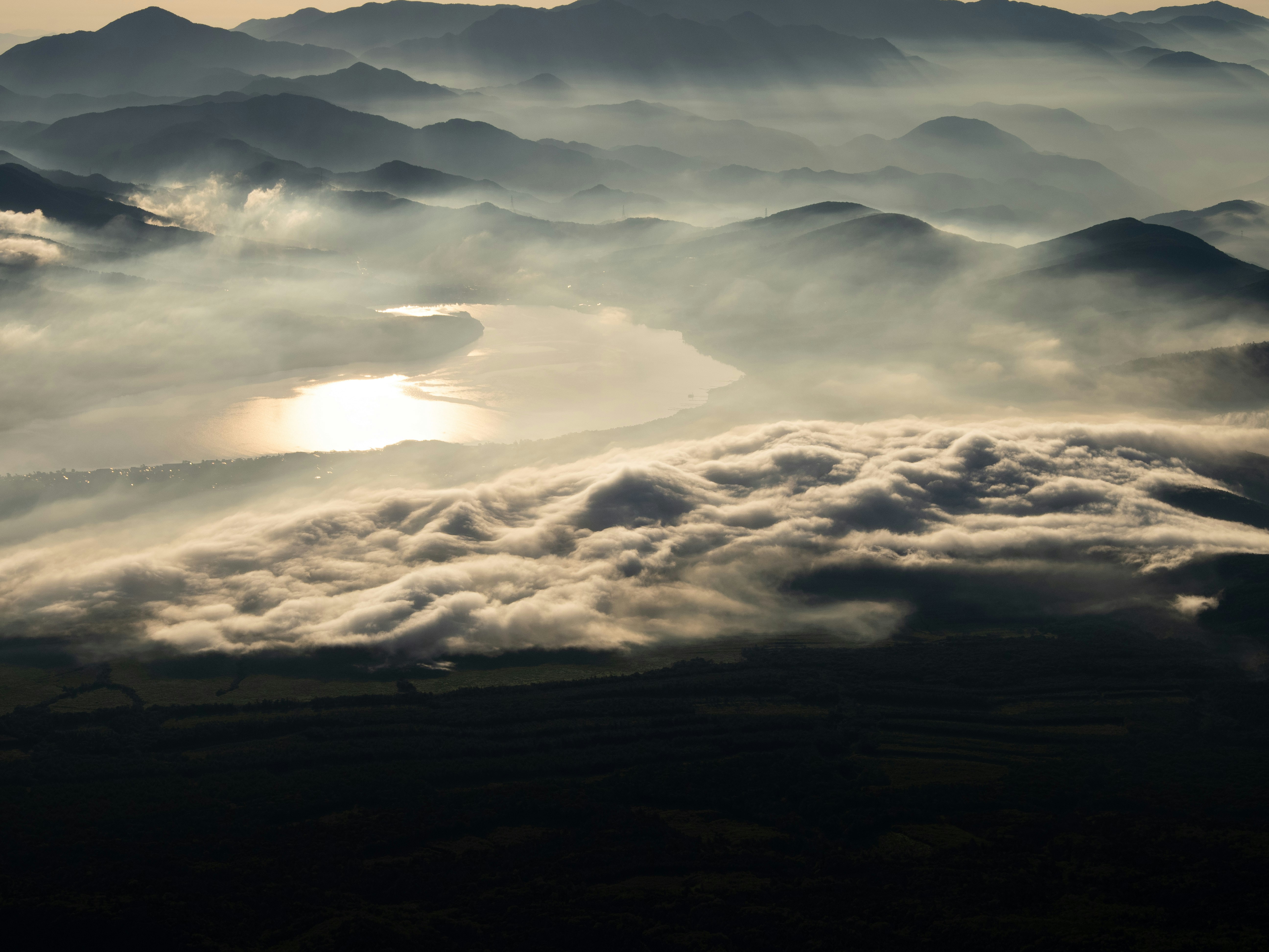 Photo by shellingfordyu