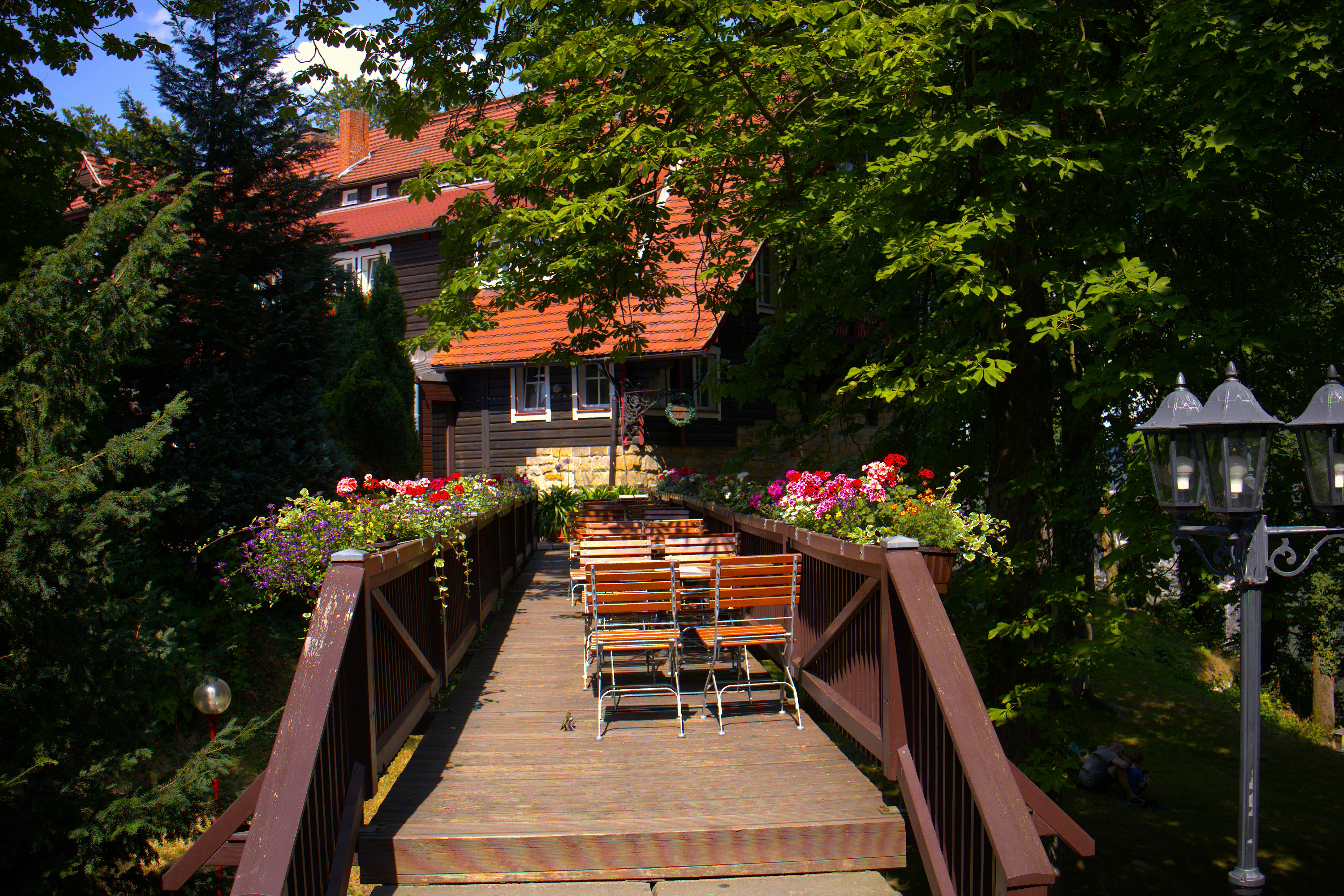 Photo by viktor17726