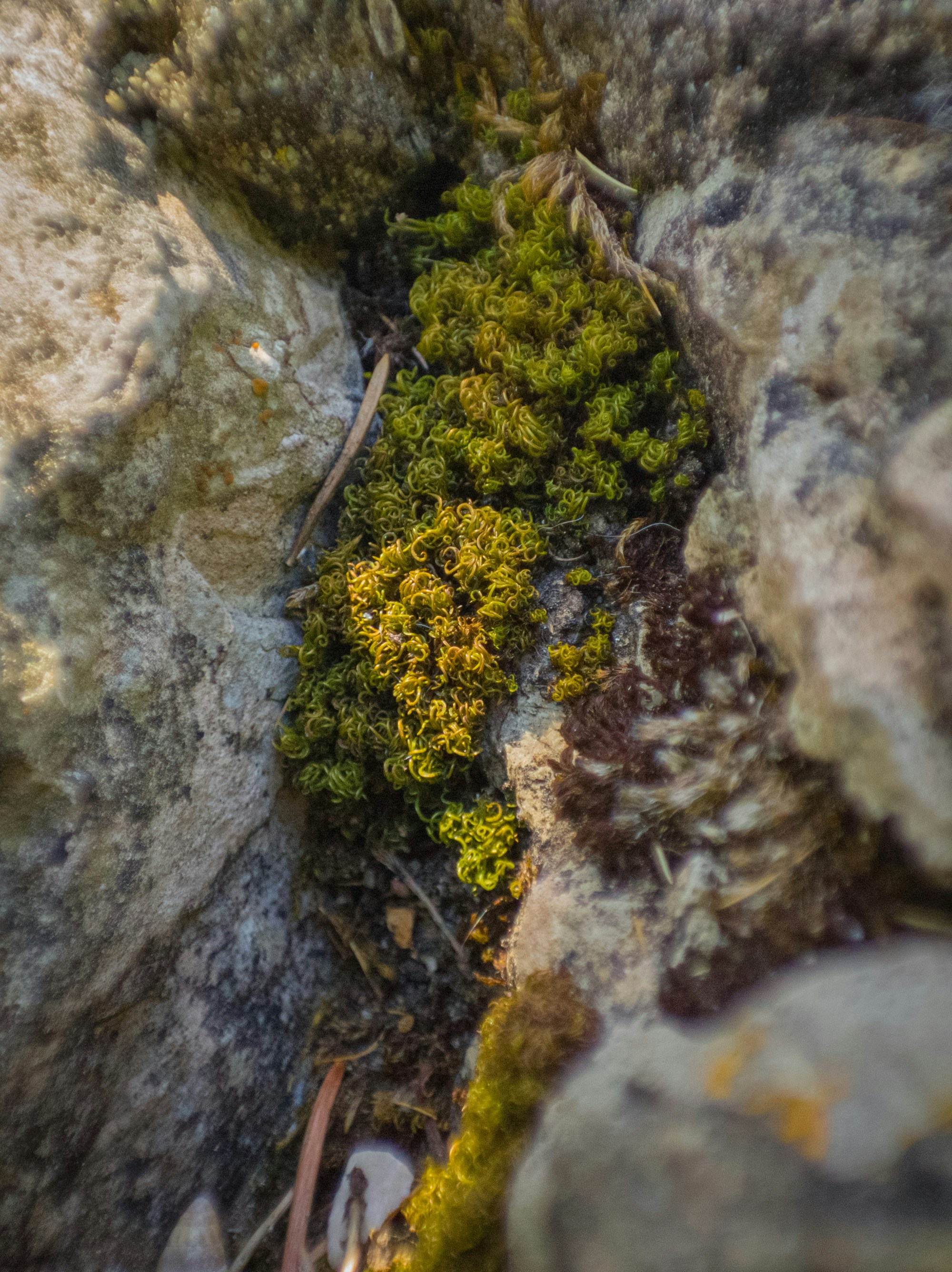 Photo by filipenobre