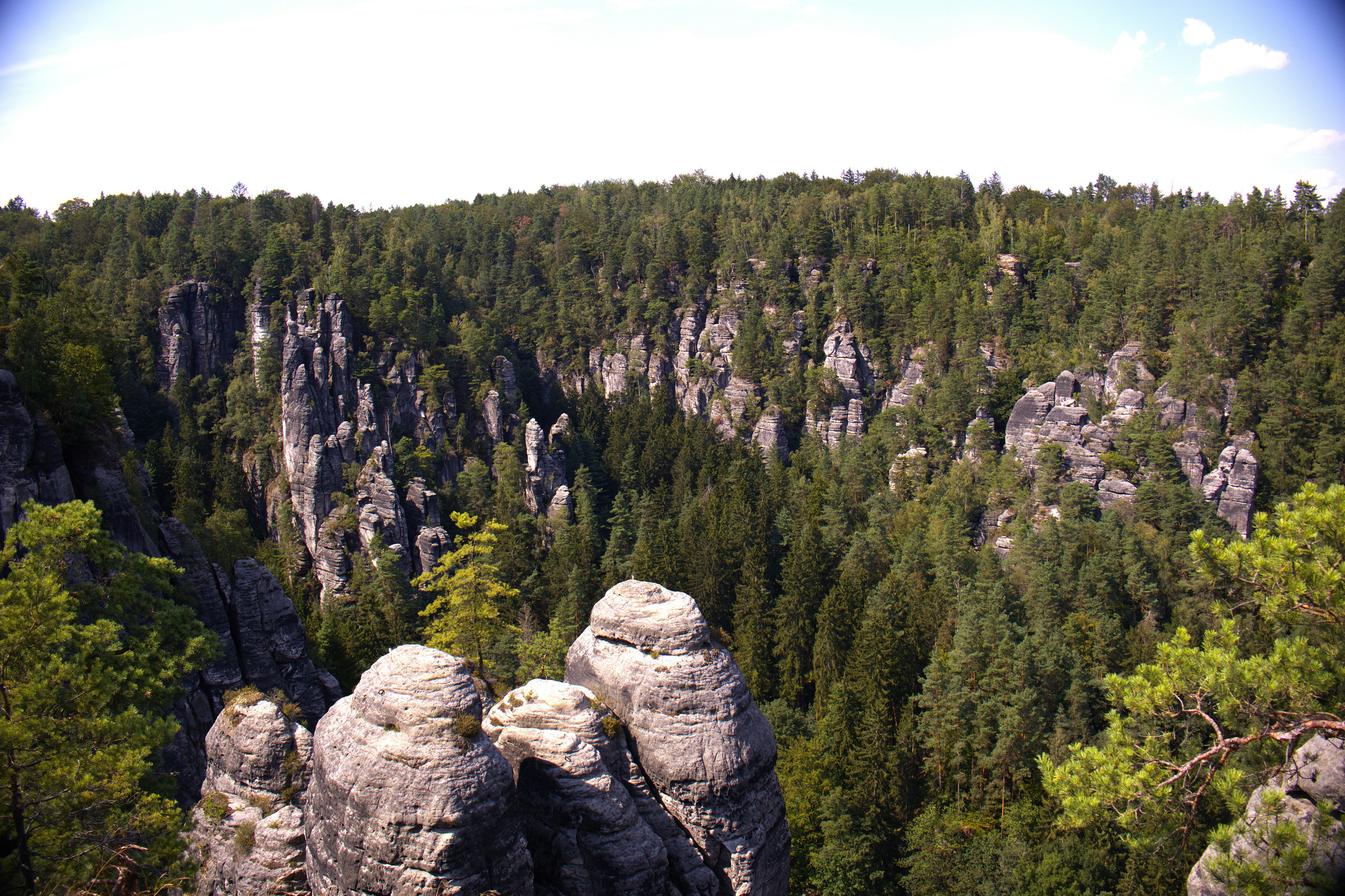 Photo by viktor17726