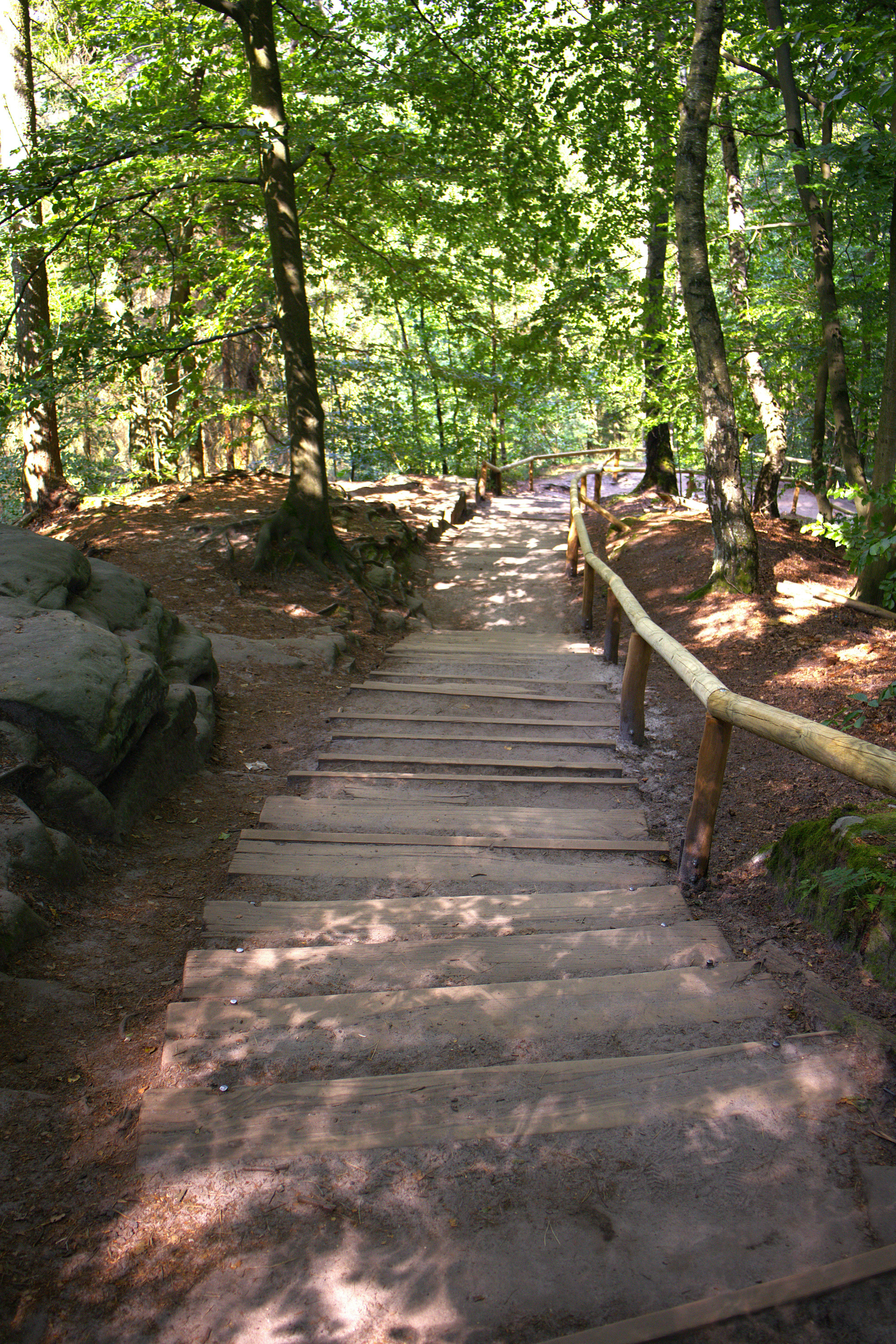 Photo by viktor17726